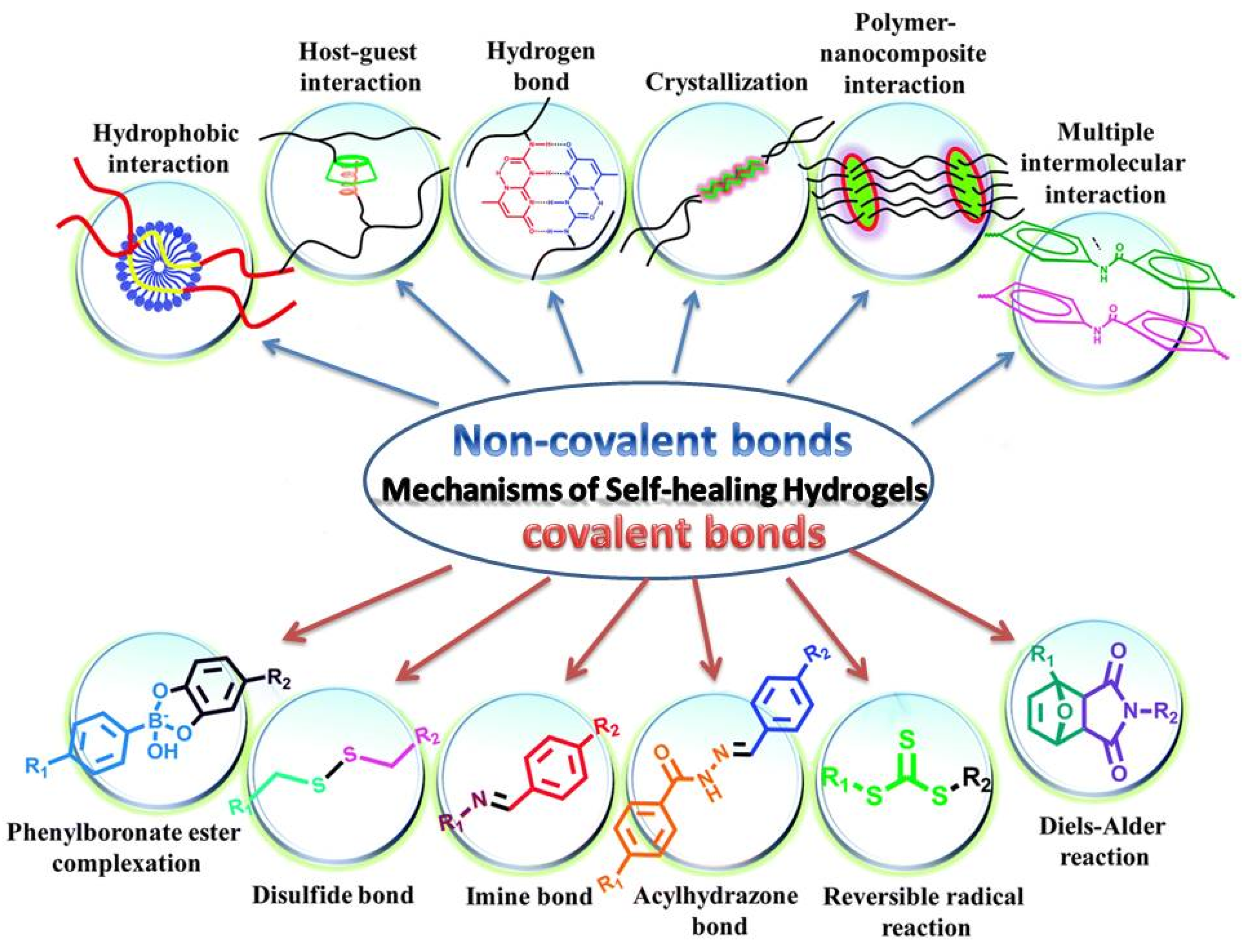 Ijms 23 00842 g014 550