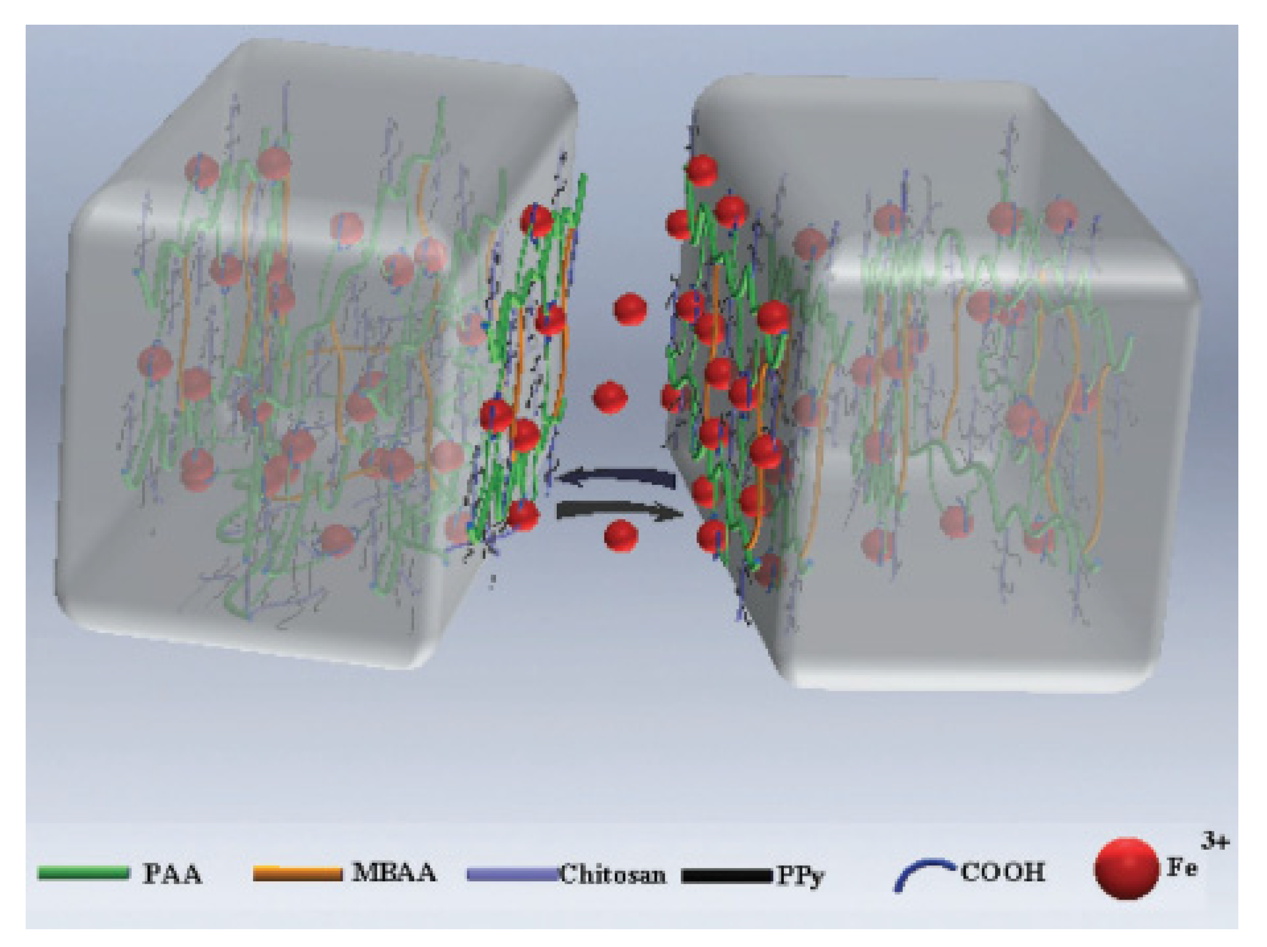 Ijms Free Full Text Irreversible And Self Healing Electrically Conductive Hydrogels Made Of Bio Based Polymers Html