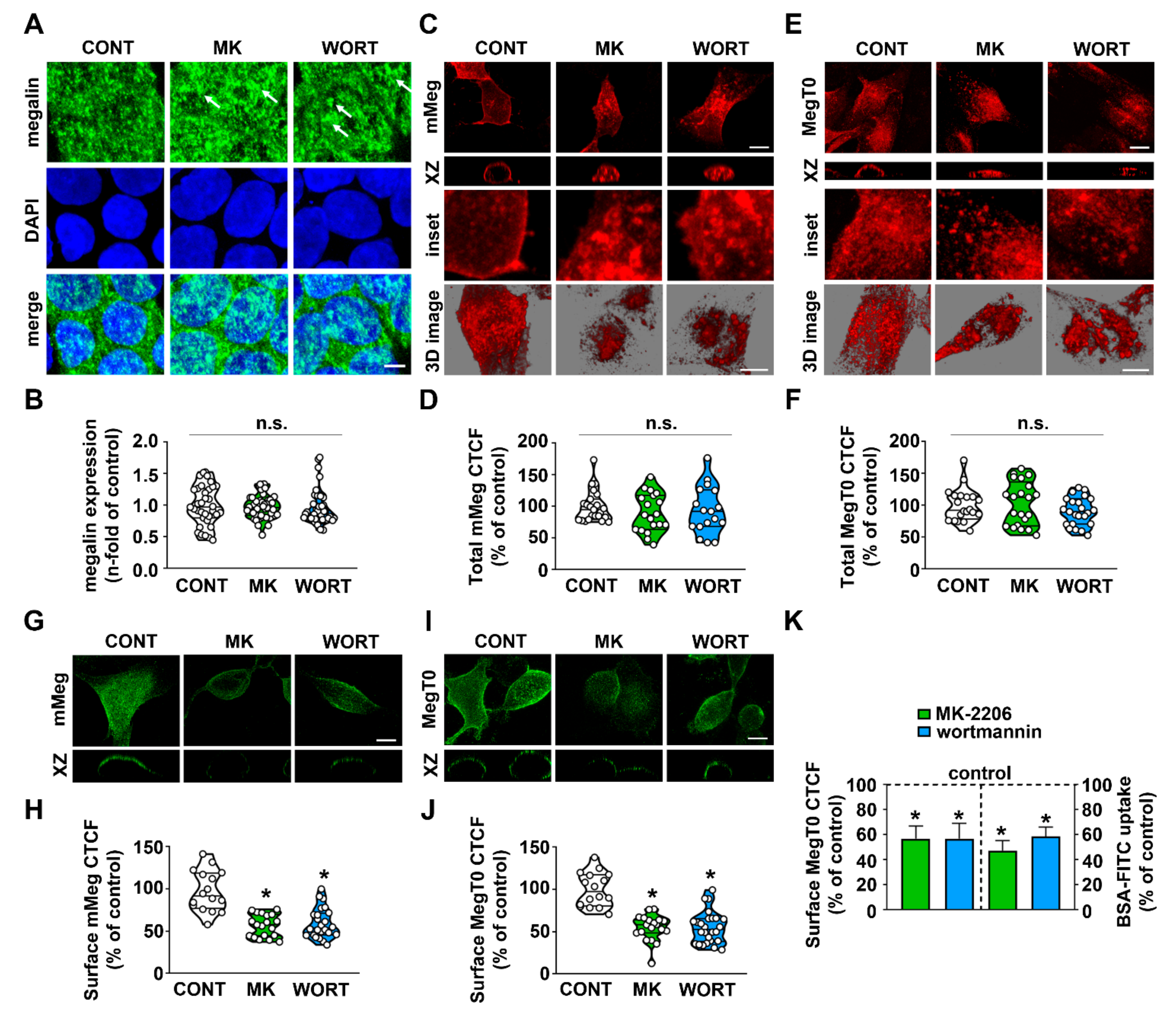 Ijms 23 00848 g002 550