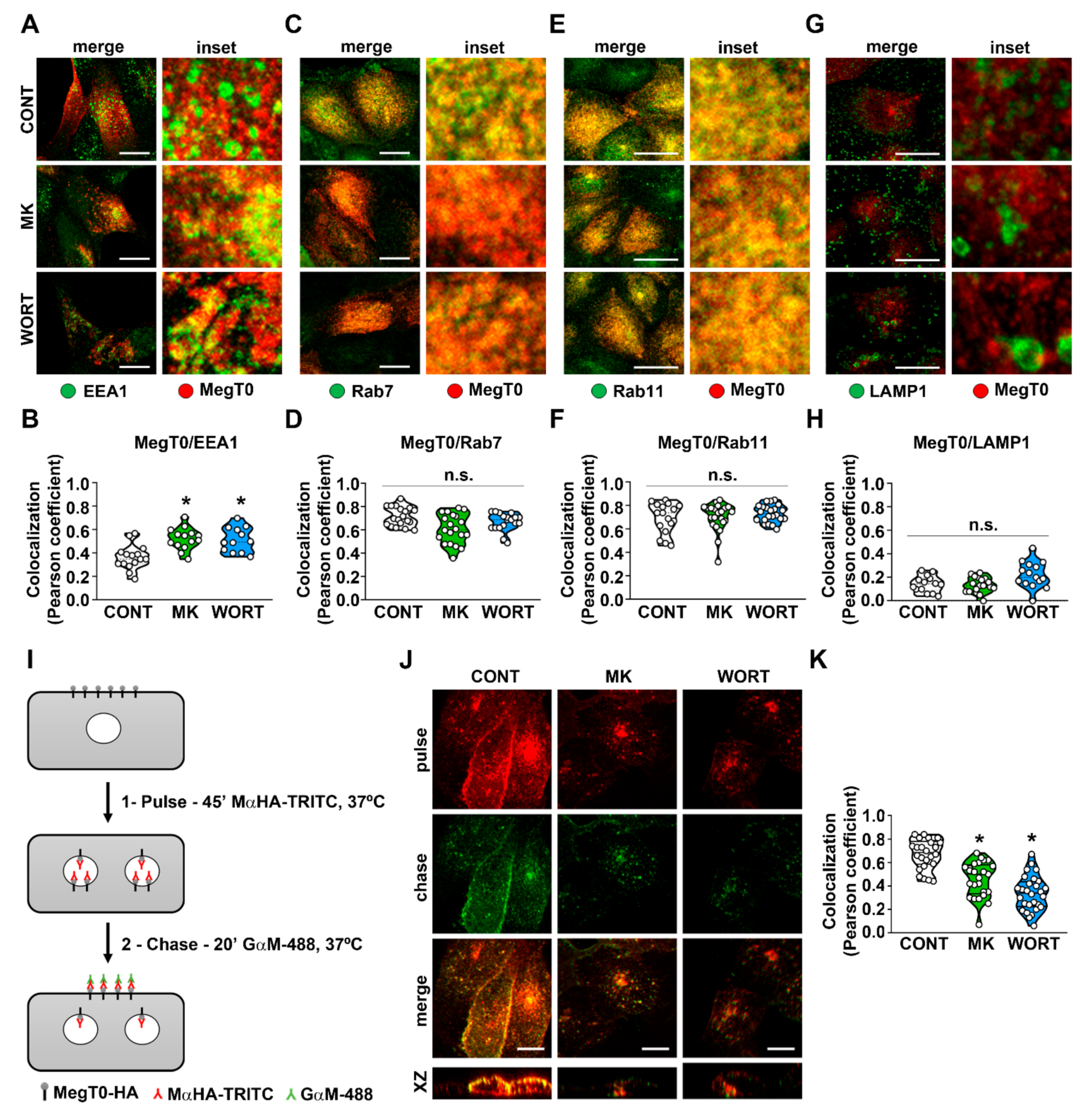 Ijms 23 00848 g003 550