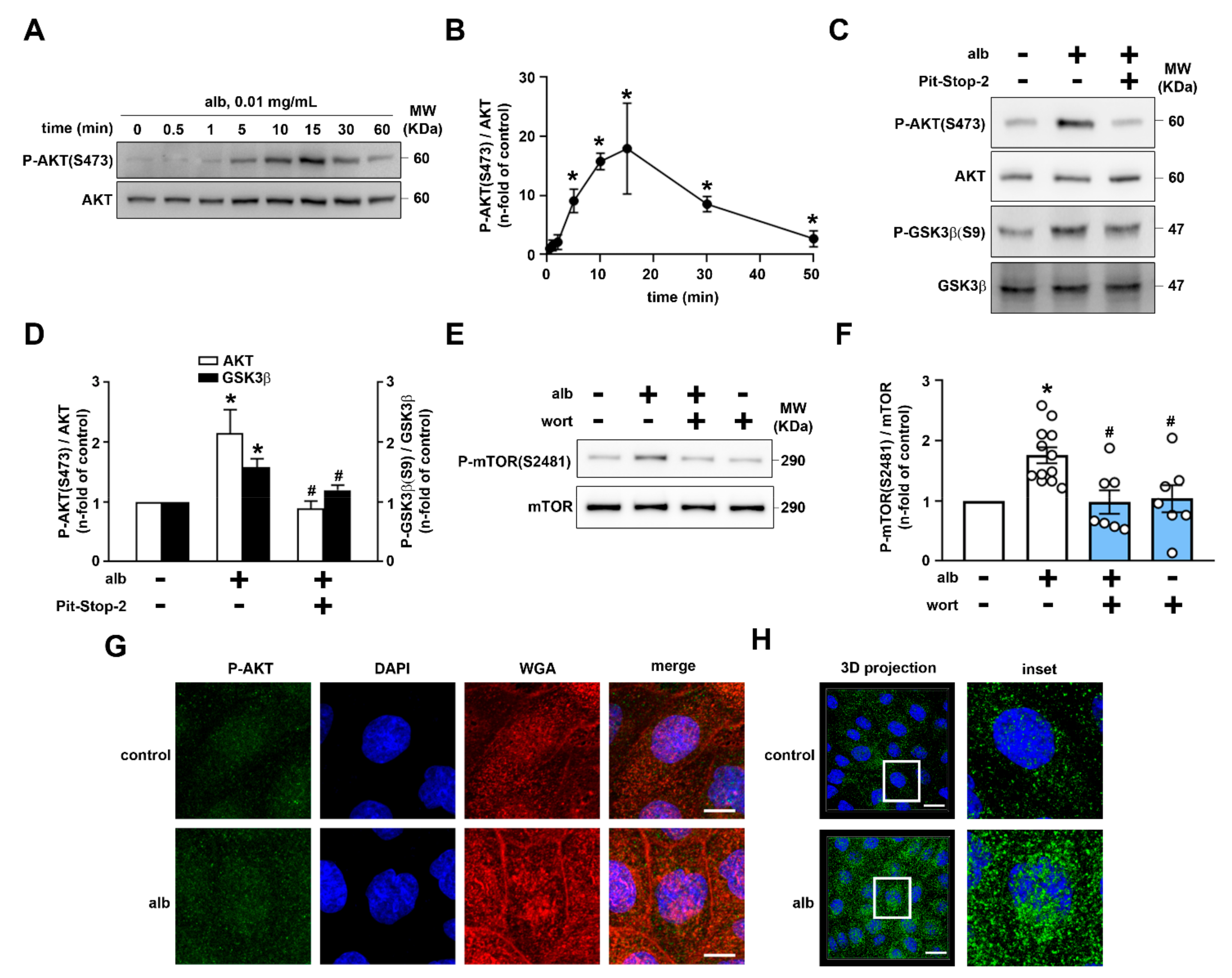 Ijms 23 00848 g004 550