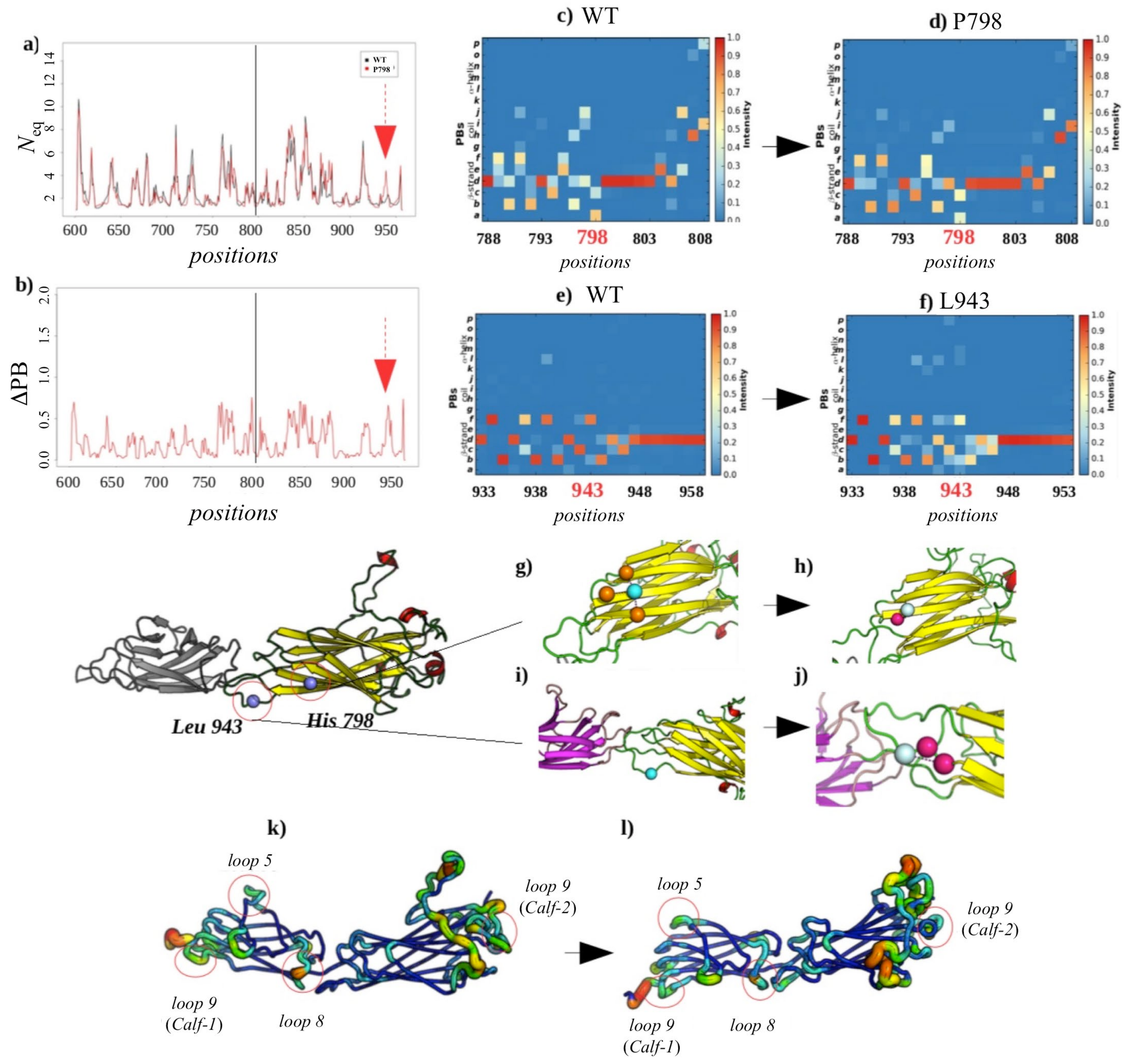 Ijms 23 00858 g008 Ijms 23 00858 g008