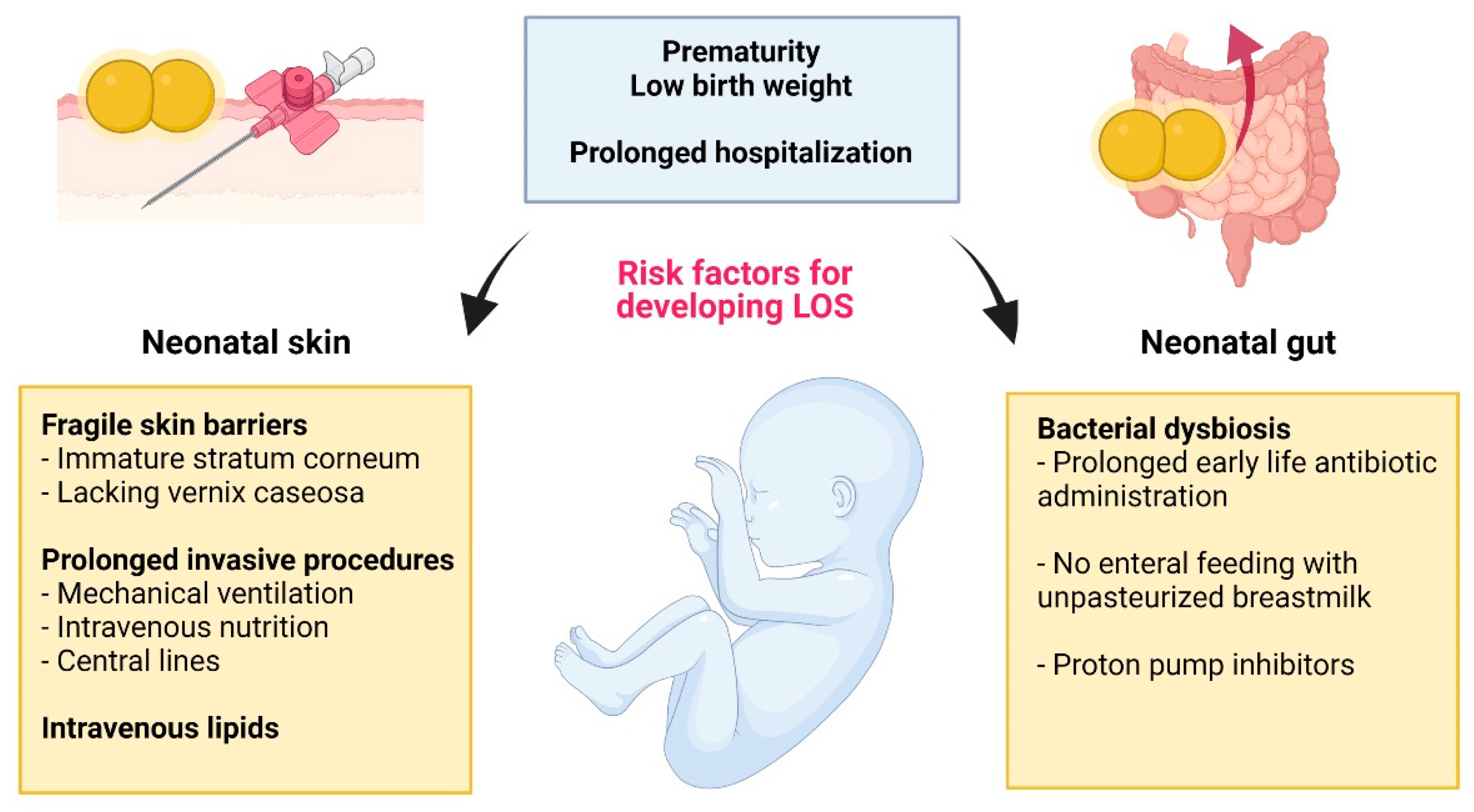 Early Sepsis Rash