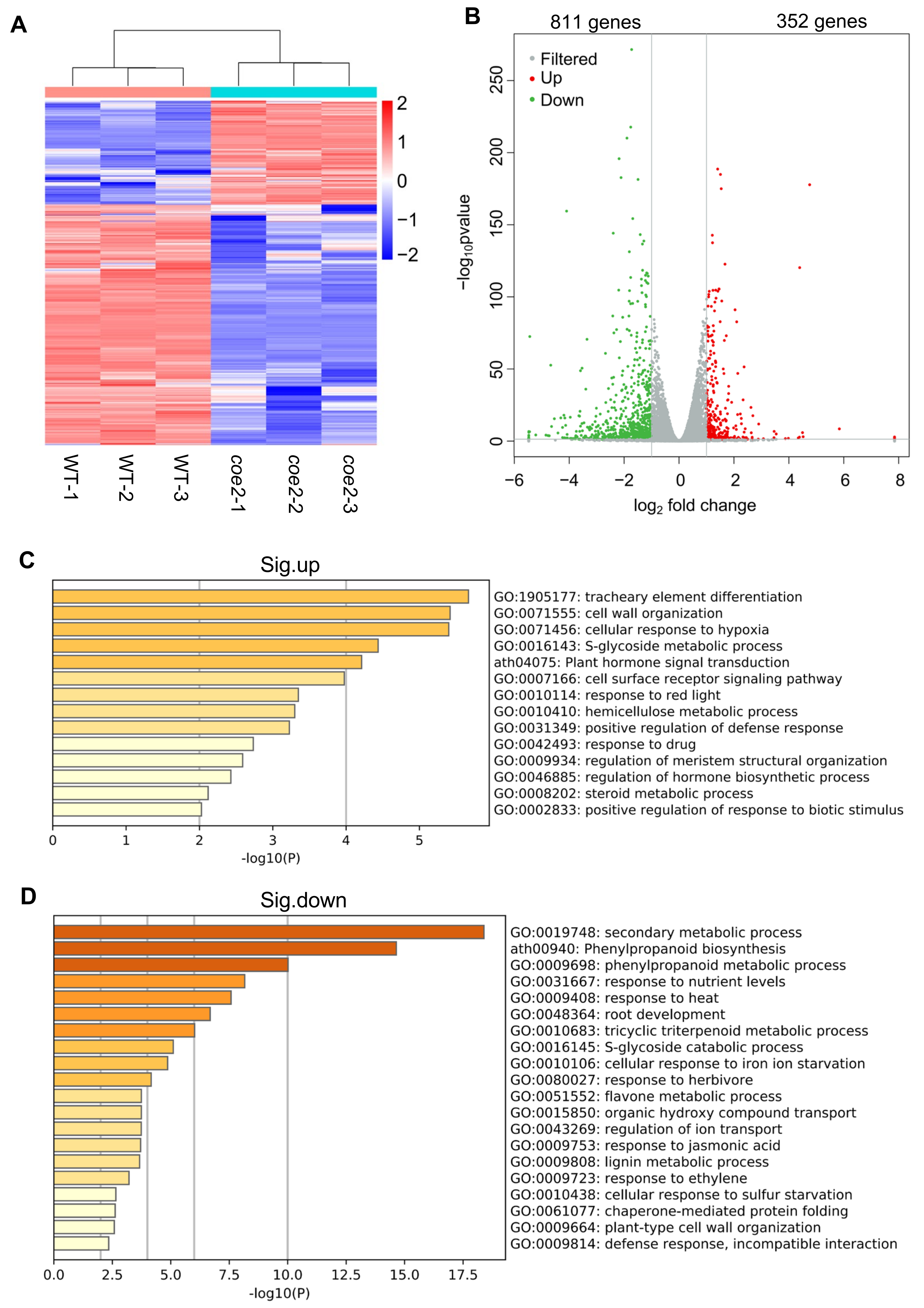 Ijms 23 00861 g004 550