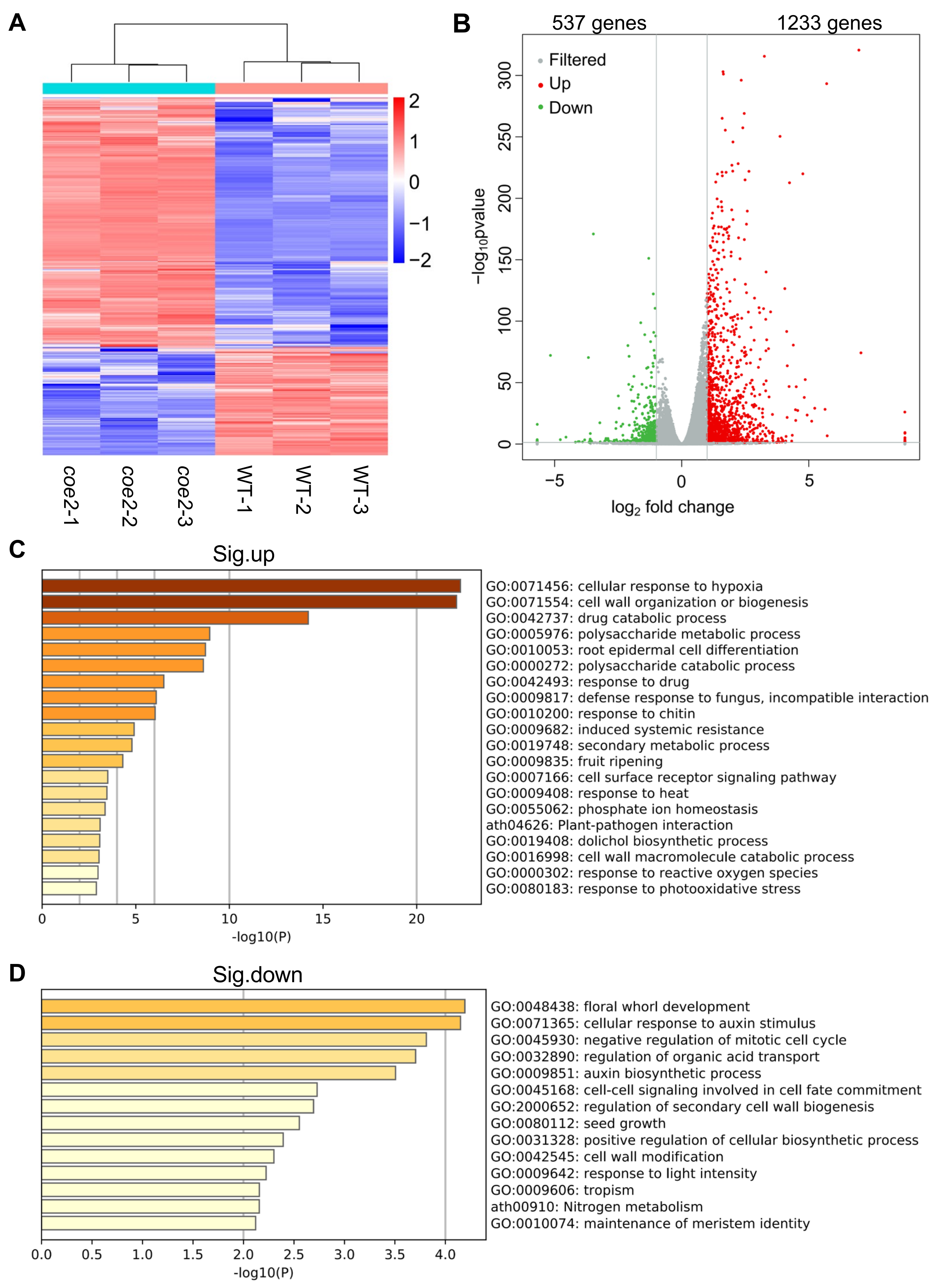 Ijms 23 00861 g005 550