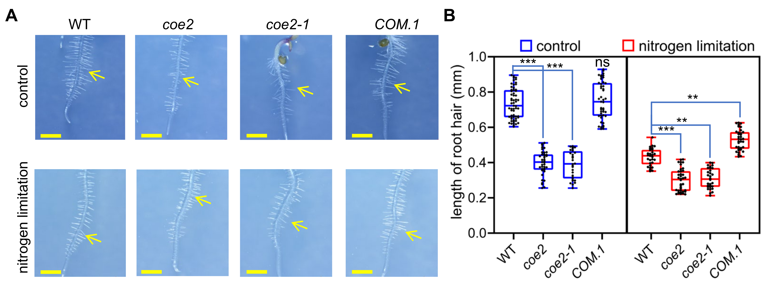 Ijms 23 00861 g006 550