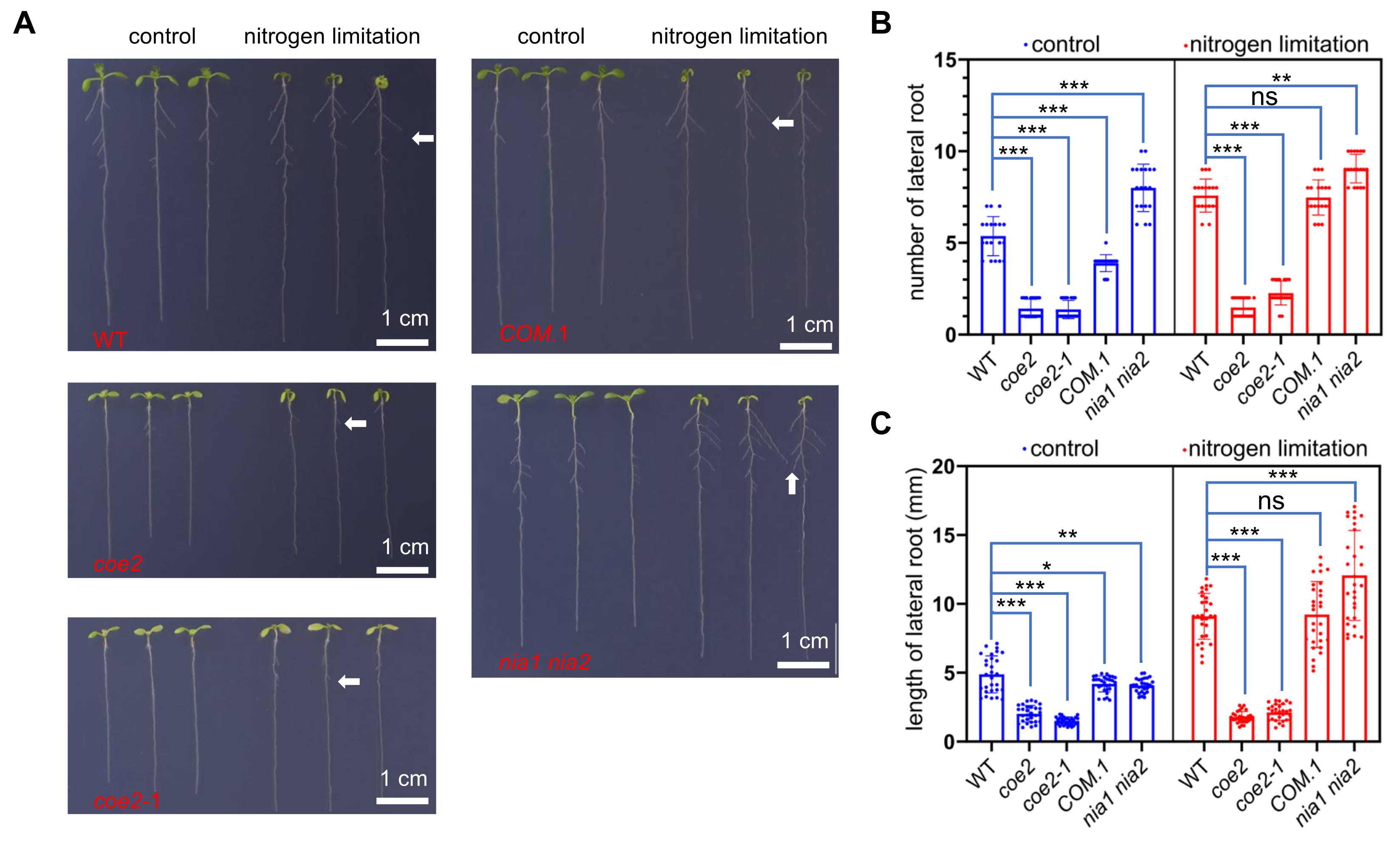 Ijms 23 00861 g007 550