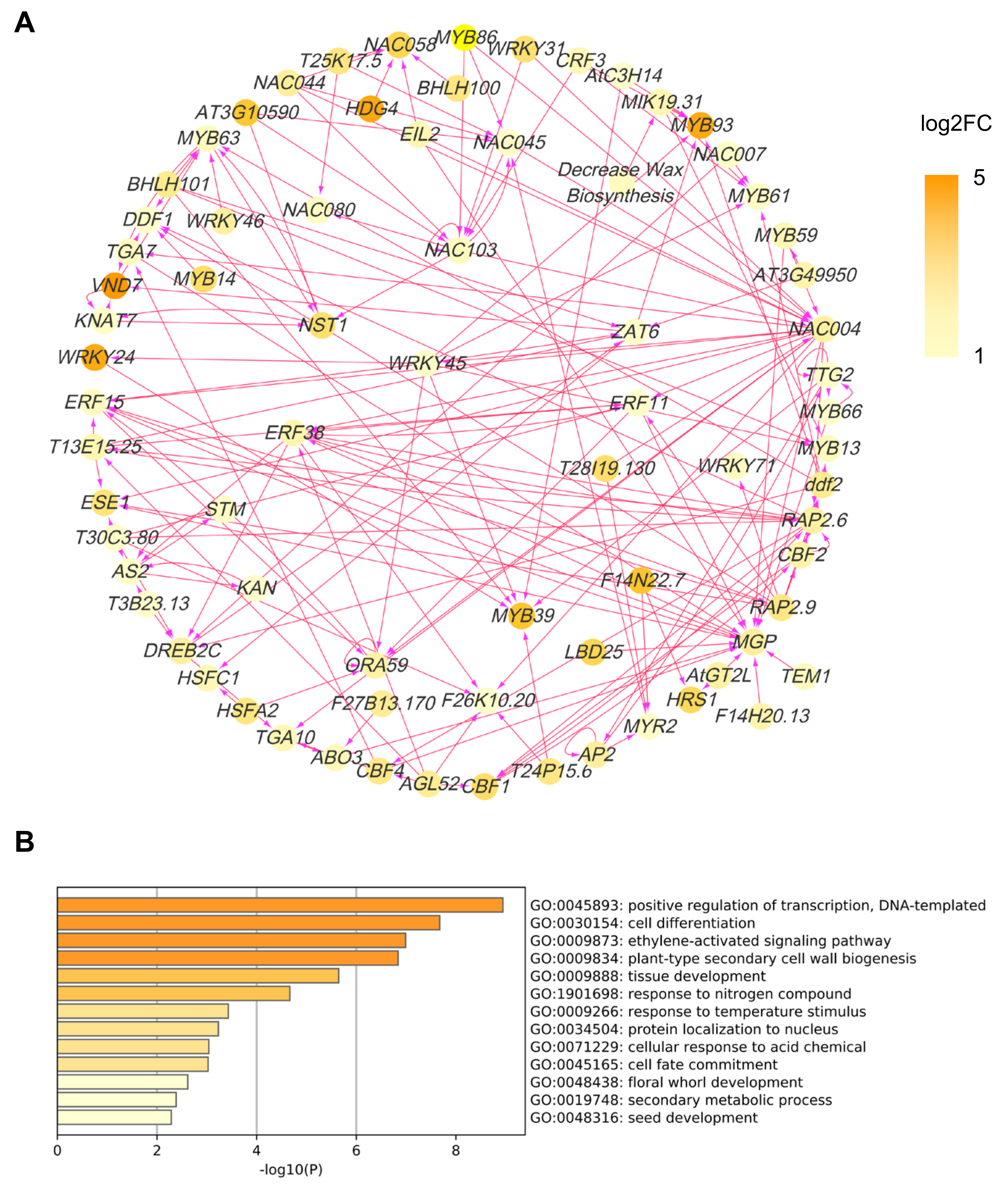 Ijms 23 00861 g008 550