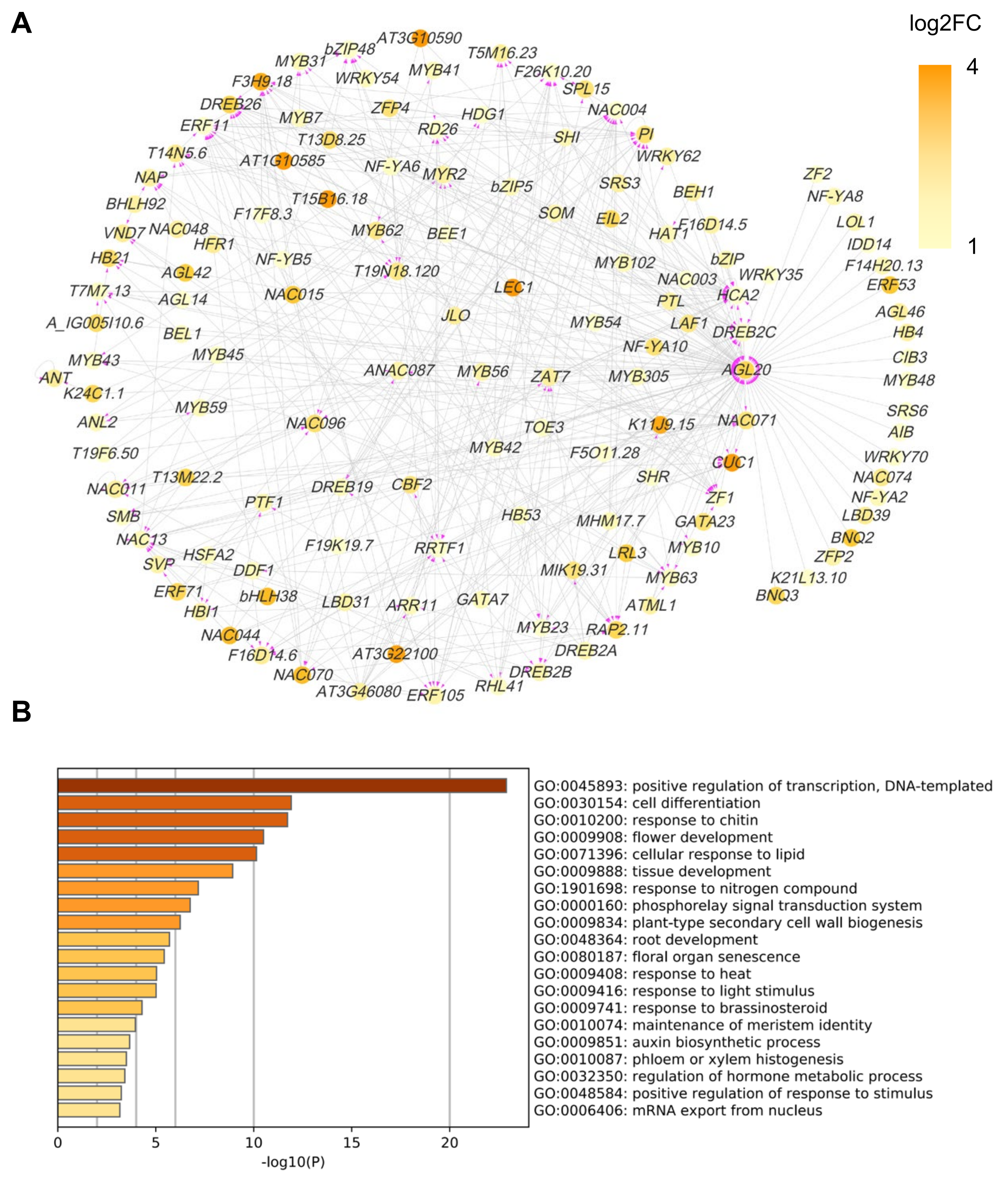 Ijms 23 00861 g009 550