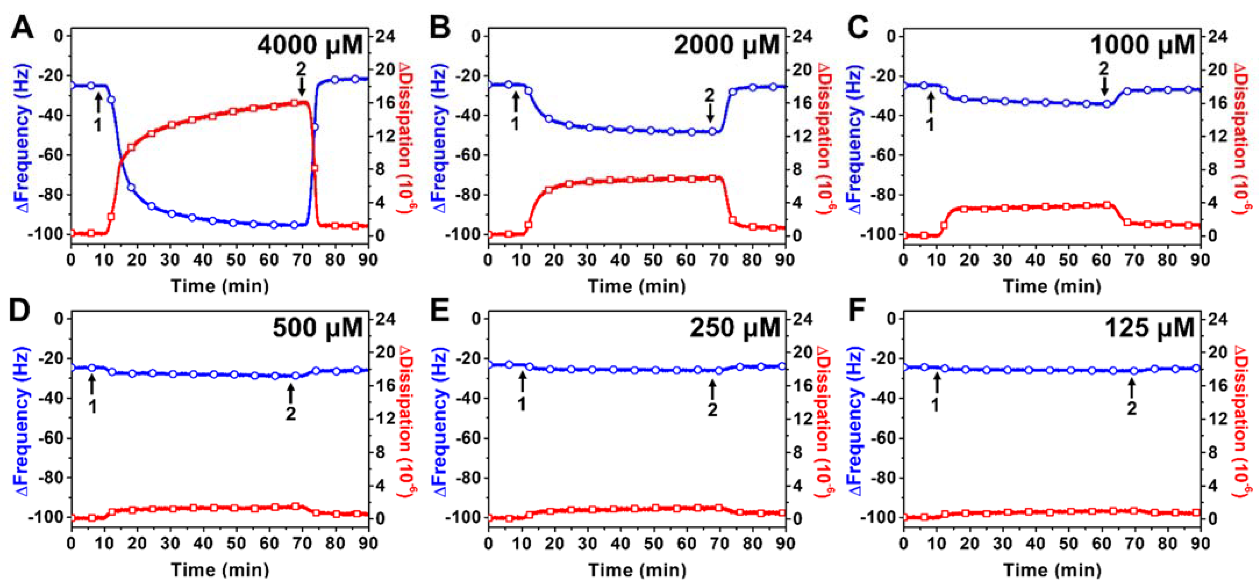 Ijms 23 00869 g003 550