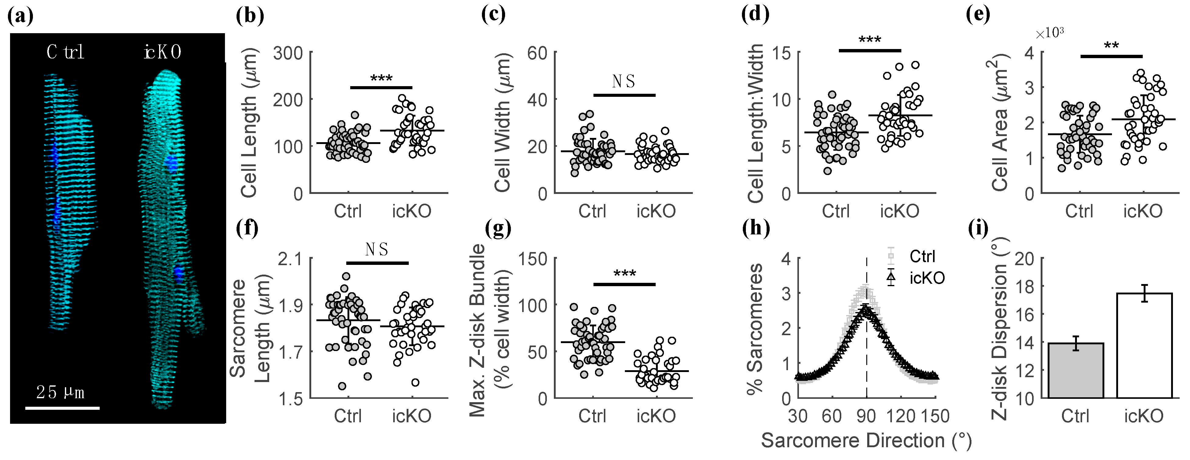 Ijms 23 00871 g003 550