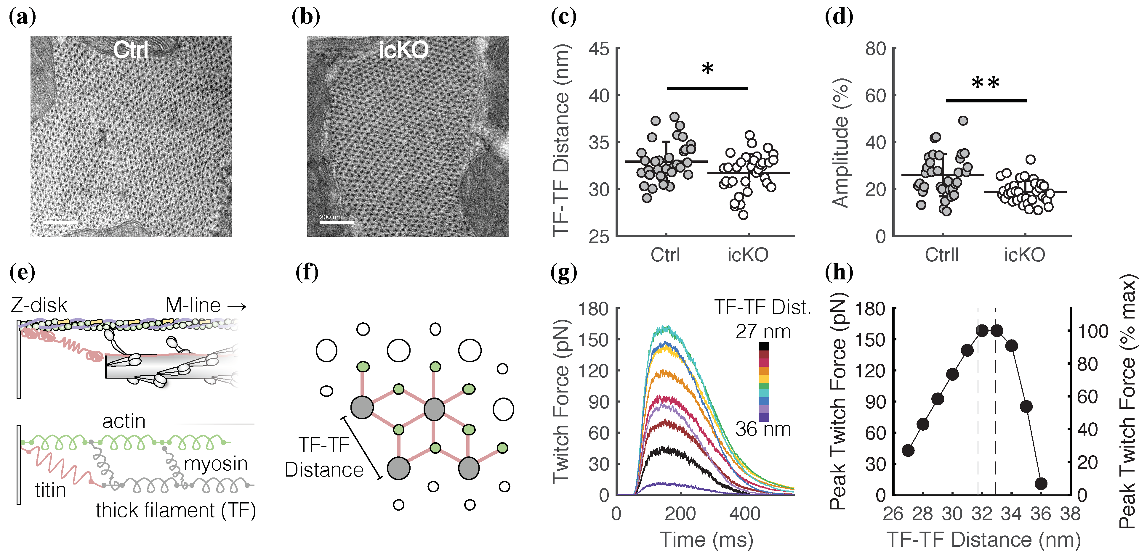Ijms 23 00871 g005 550