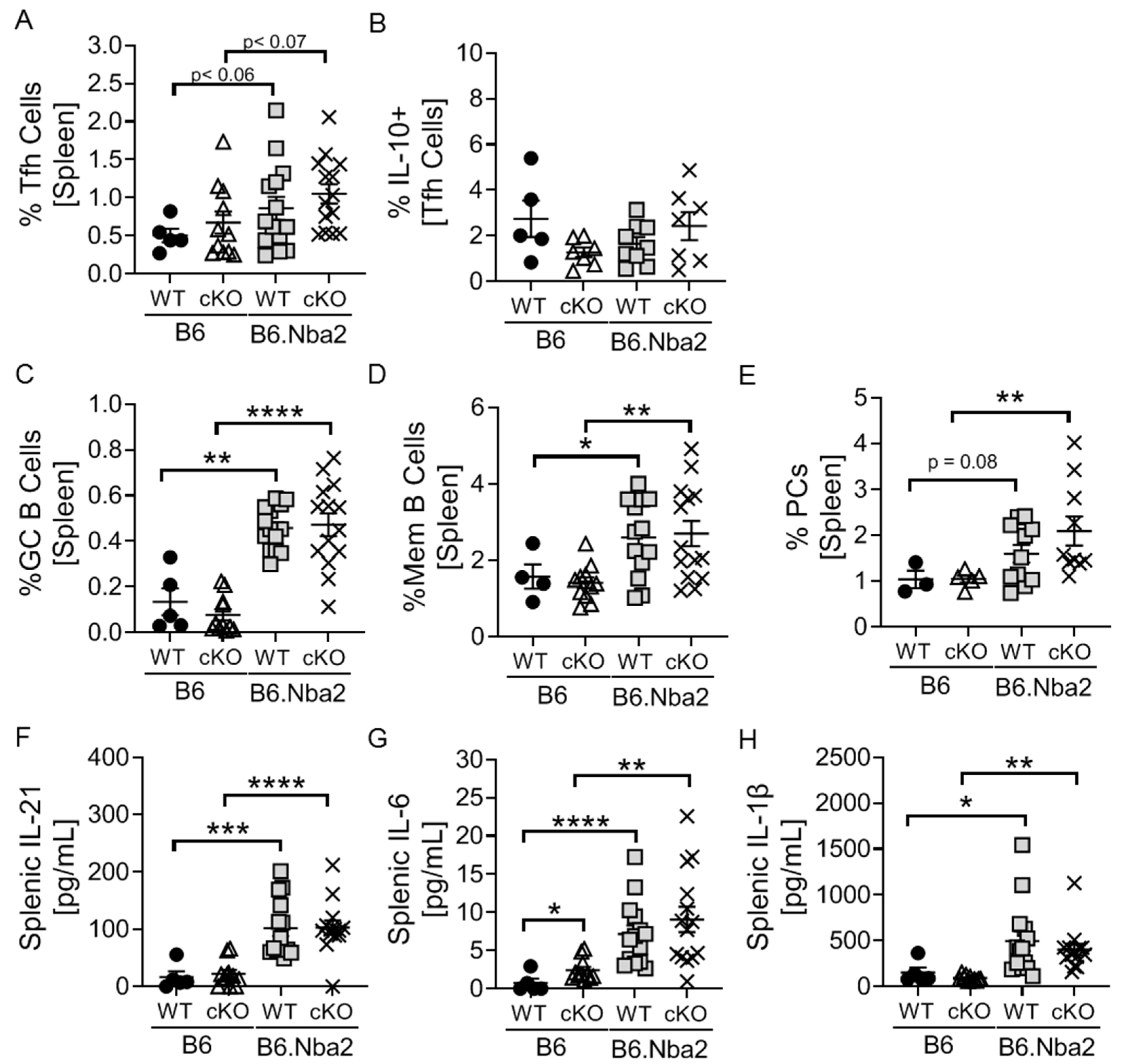 Ijms 23 00874 g004 550