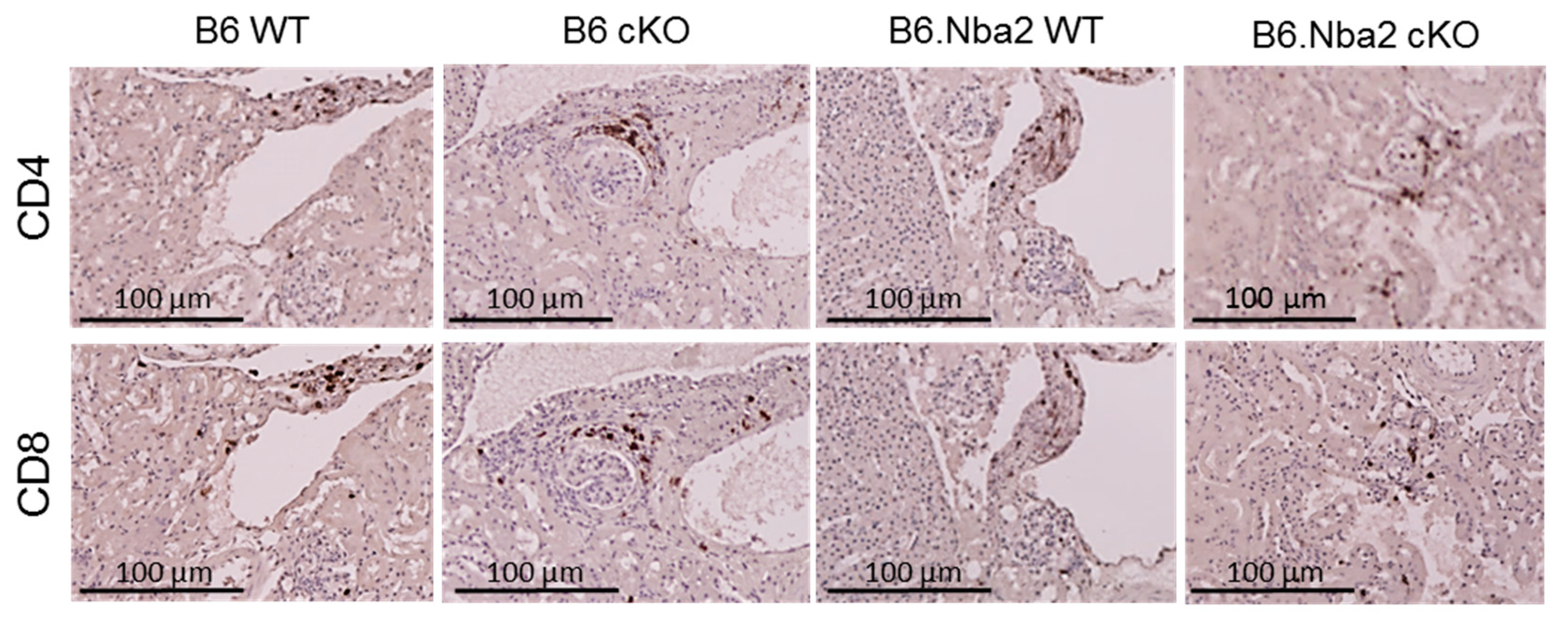 Ijms 23 00874 g006 550