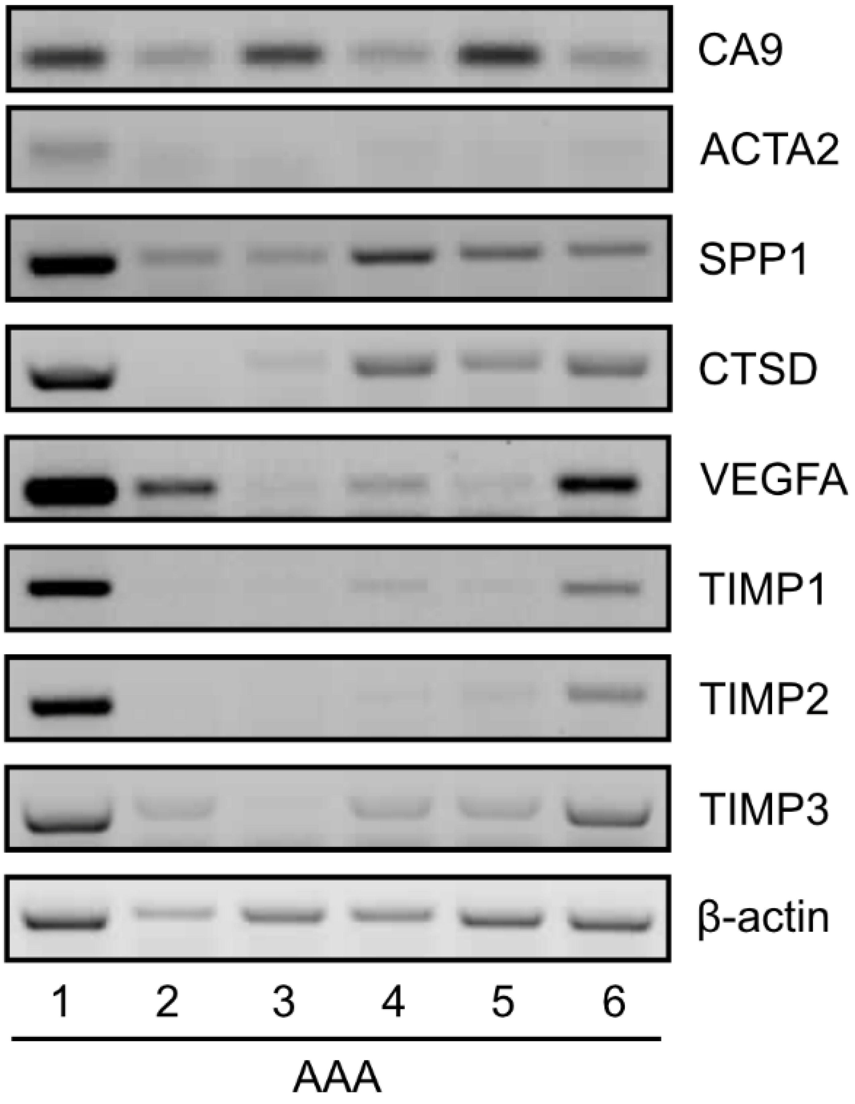 Ijms 23 00879 g003 Ijms 23 00879 g003