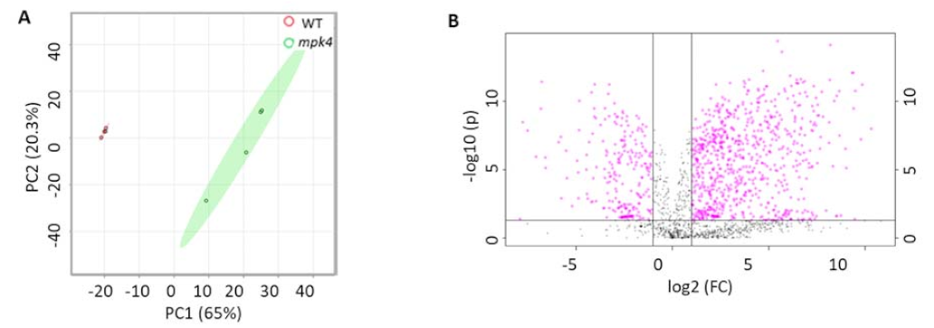 Ijms 23 00880 g003a Ijms 23 00880 g003a