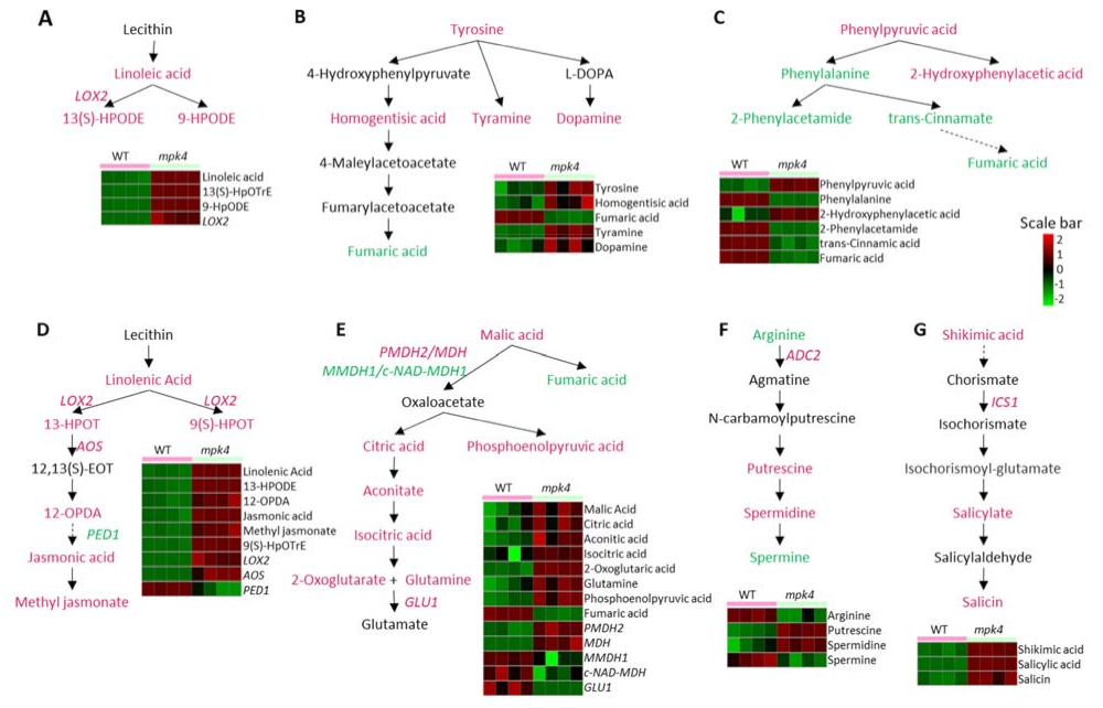 Ijms 23 00880 g004 Ijms 23 00880 g004