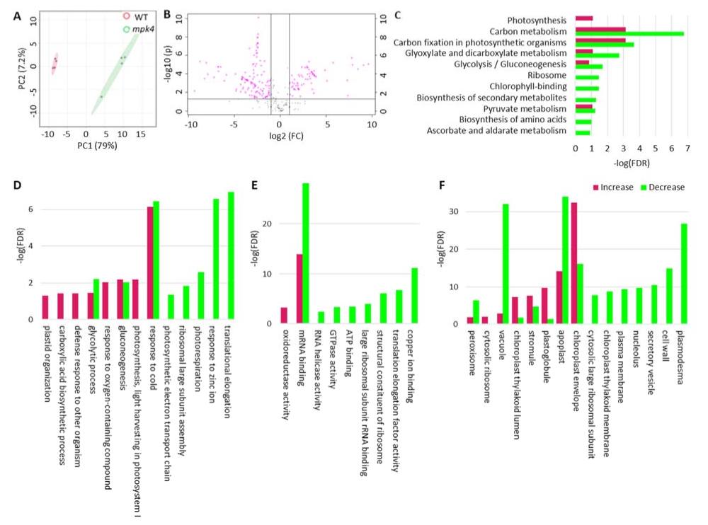 Ijms 23 00880 g005 Ijms 23 00880 g005