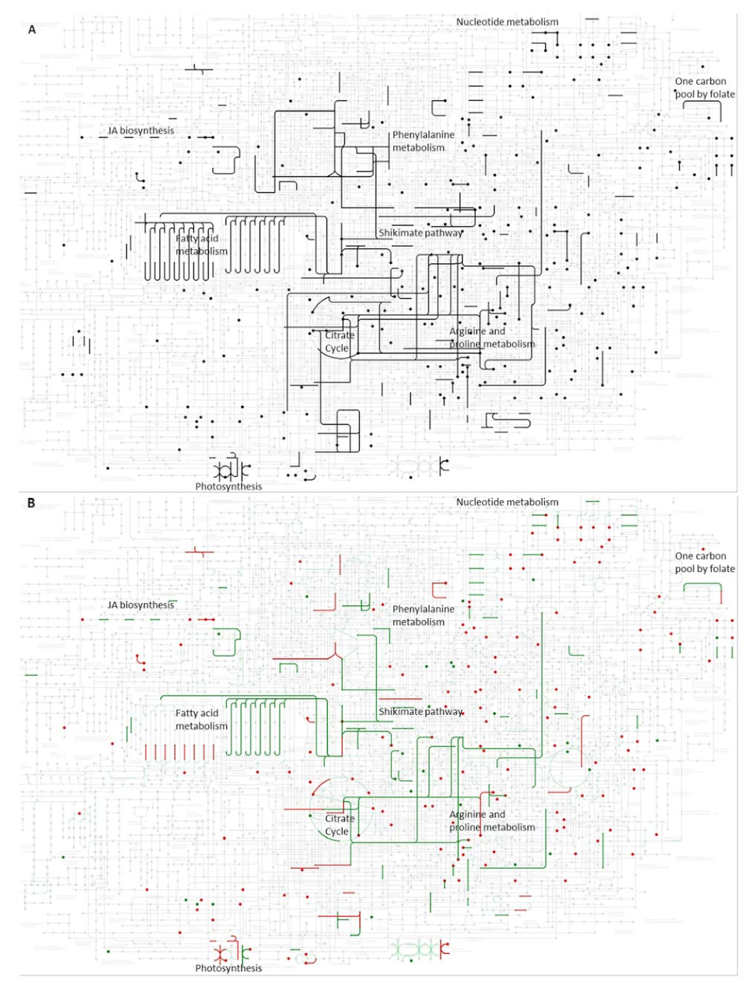 Ijms 23 00880 g006 Ijms 23 00880 g006