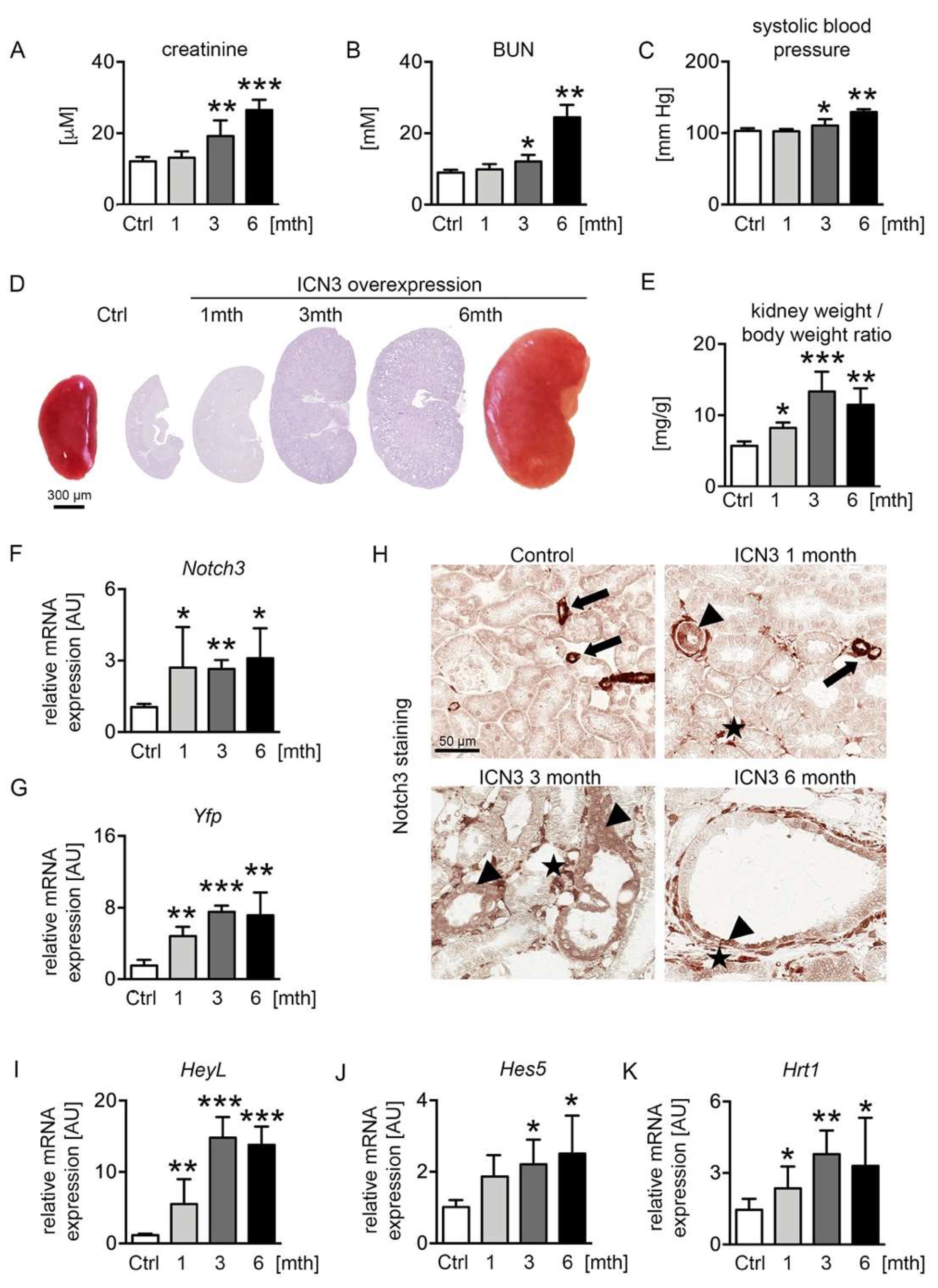 Ijms 23 00884 g002 550