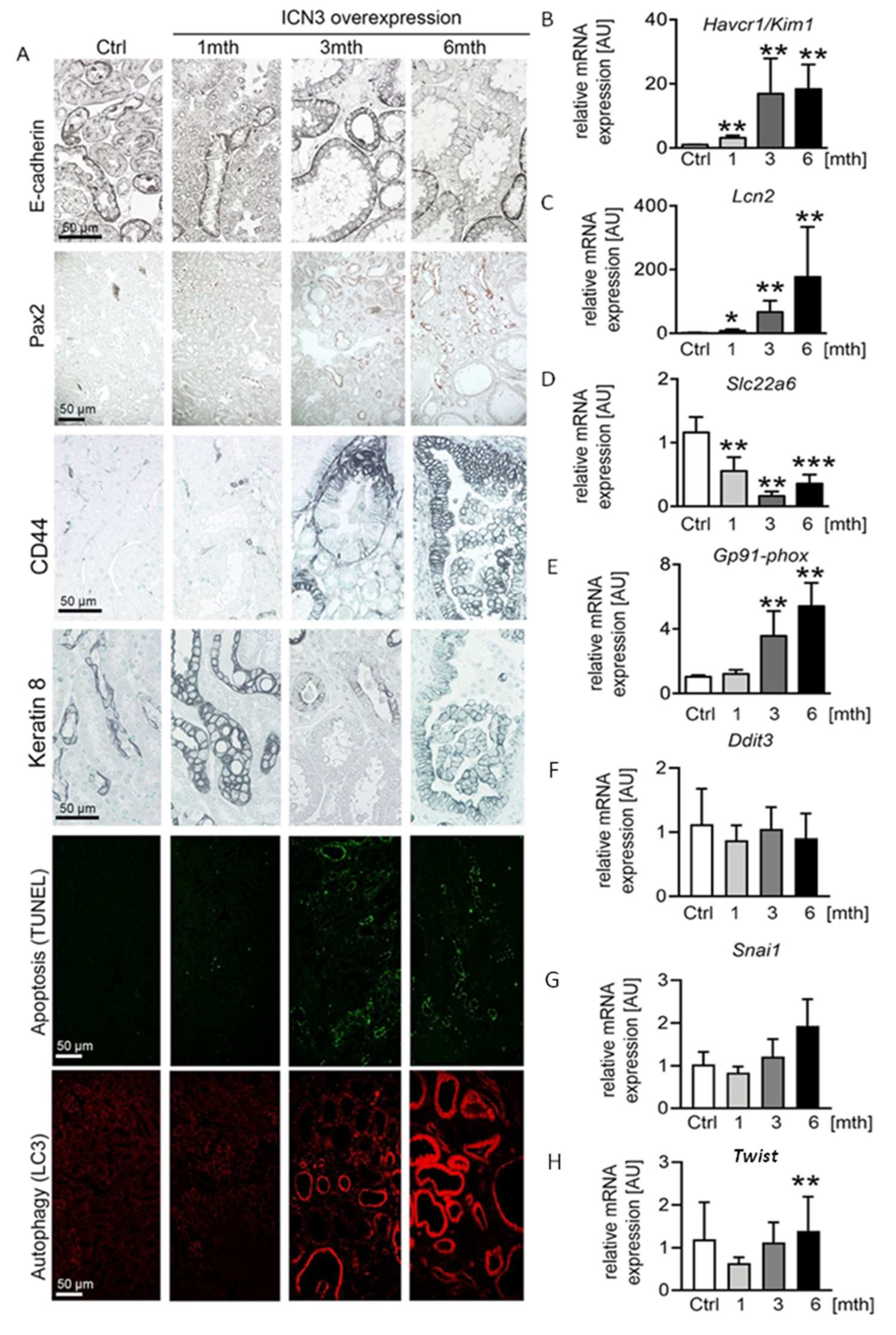Ijms 23 00884 g004 550