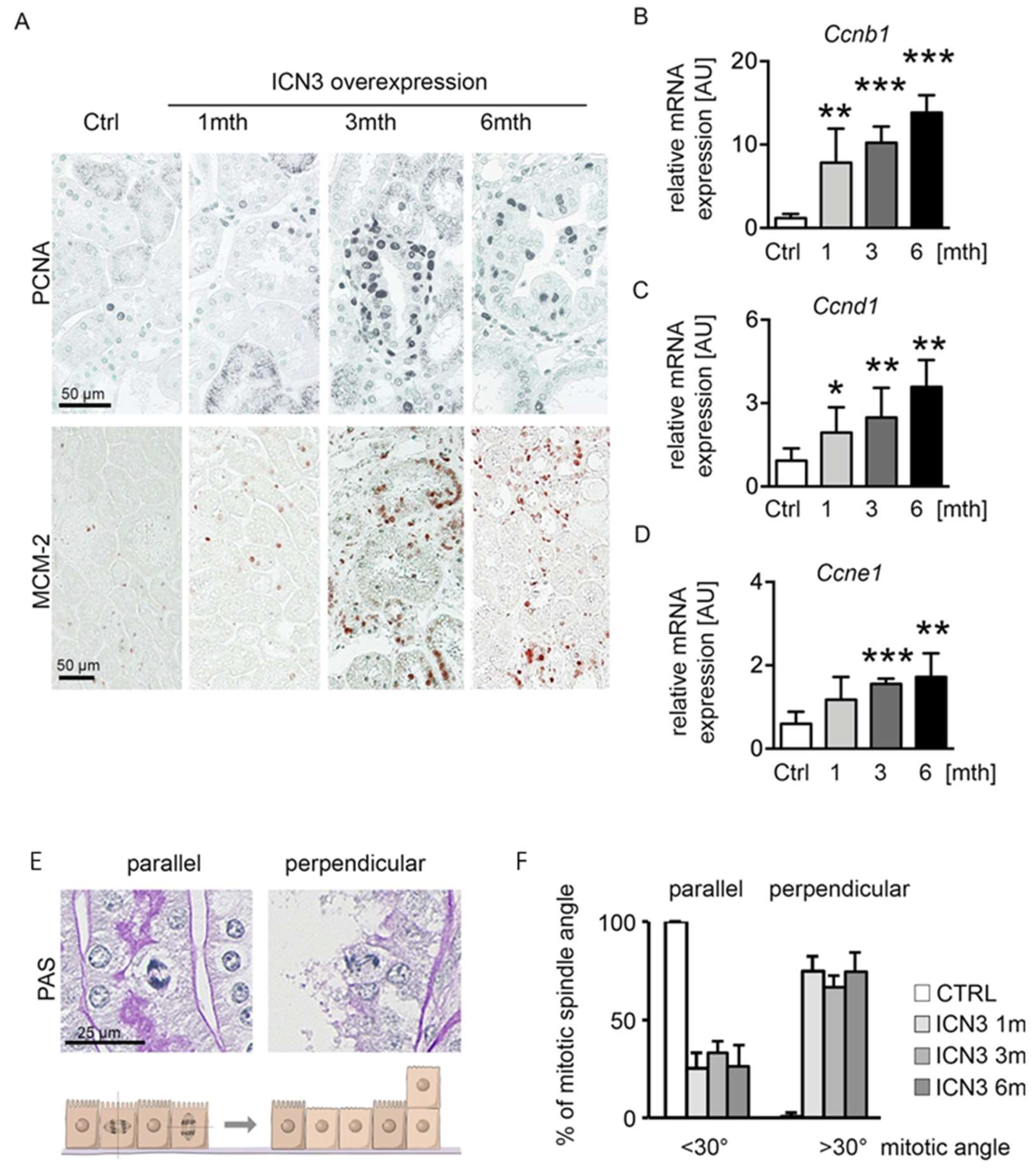 Ijms 23 00884 g005 550