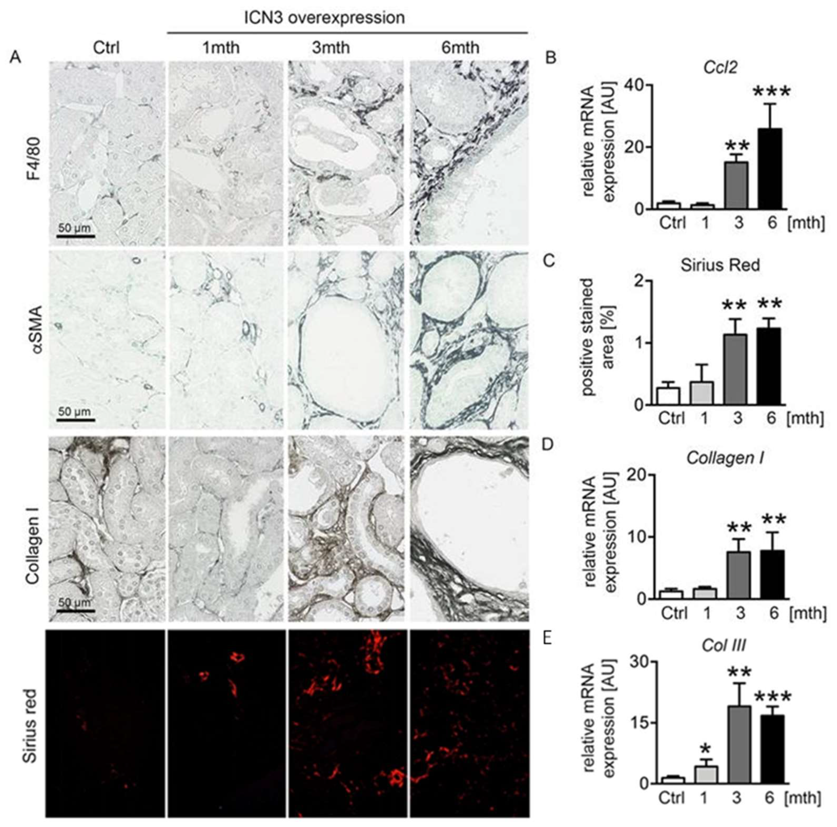 Ijms 23 00884 g006 550