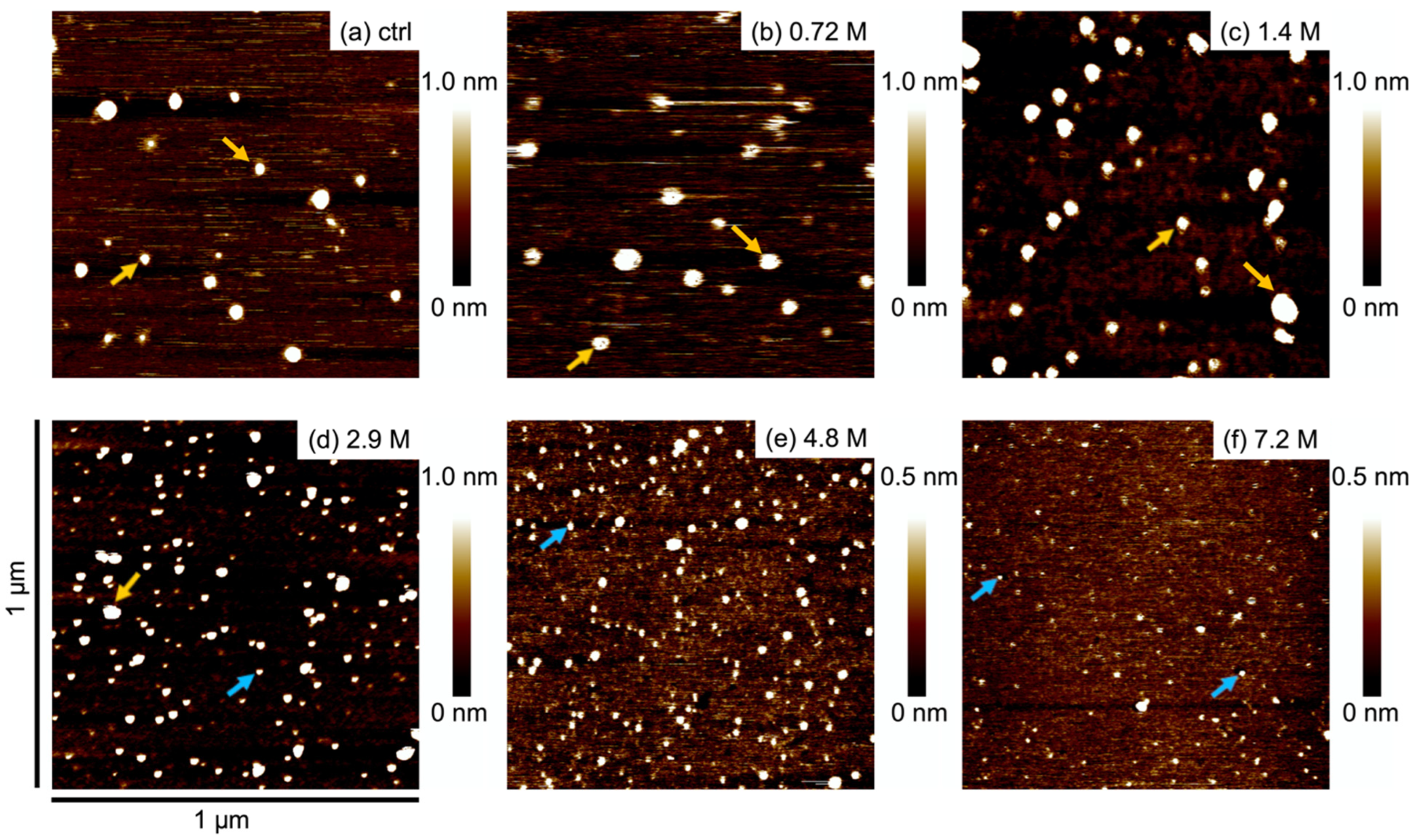 Ijms 23 00889 g002 550