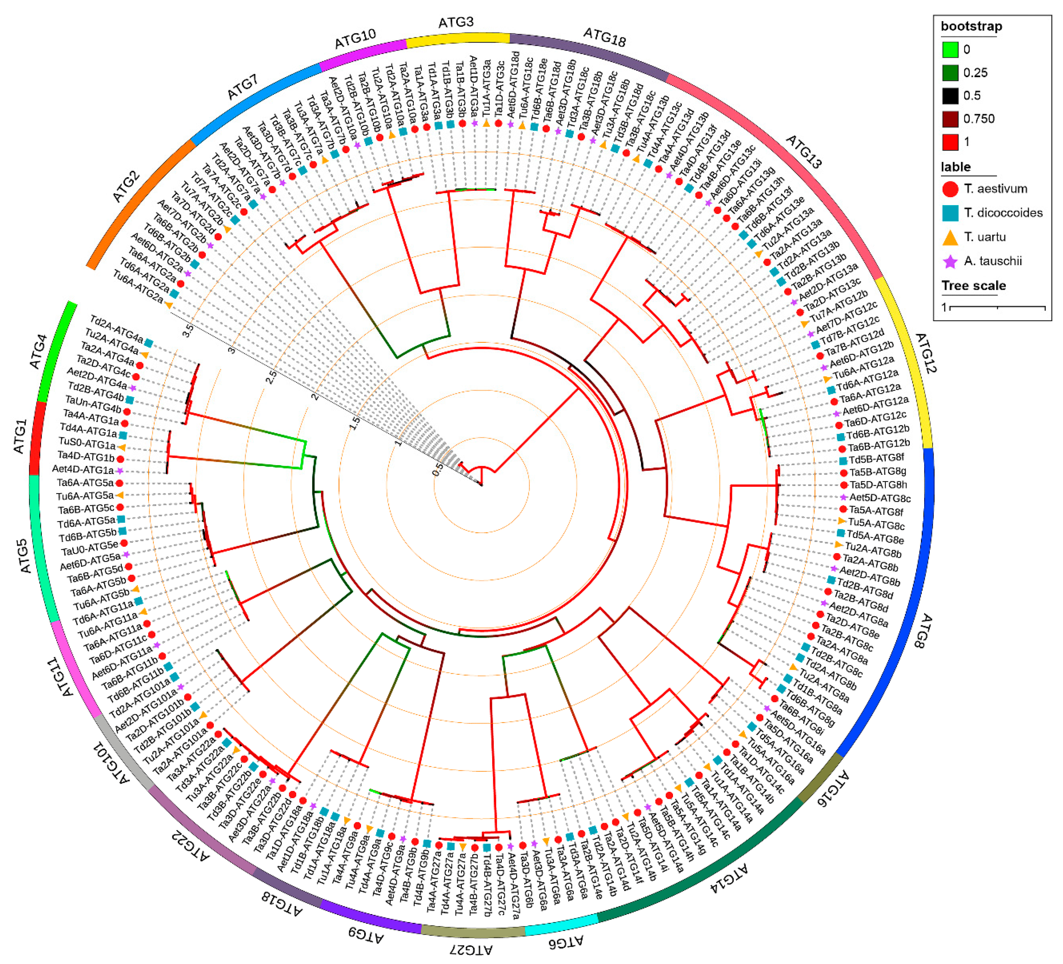 Ijms 23 00891 g001 550