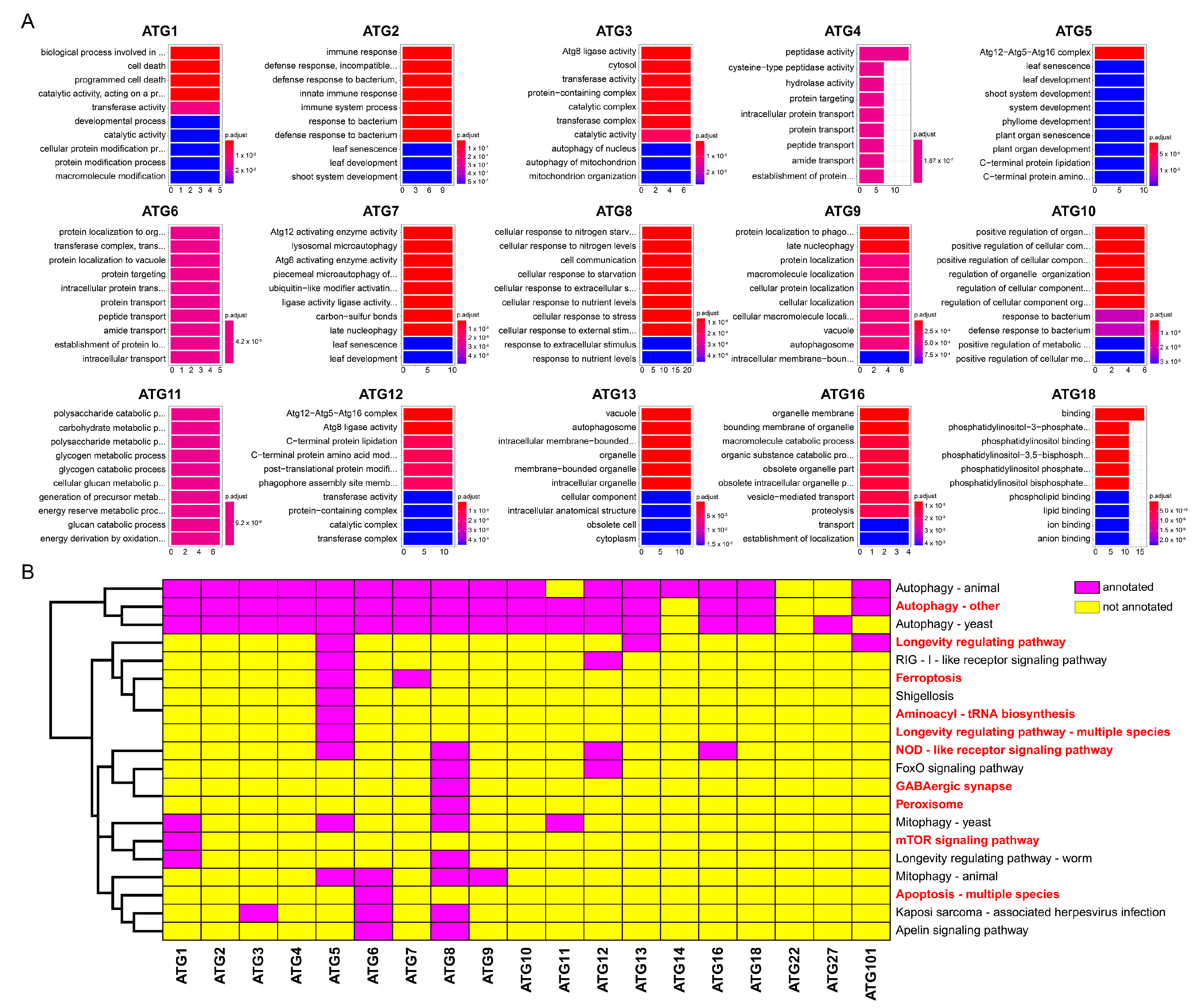 Ijms 23 00891 g002 550