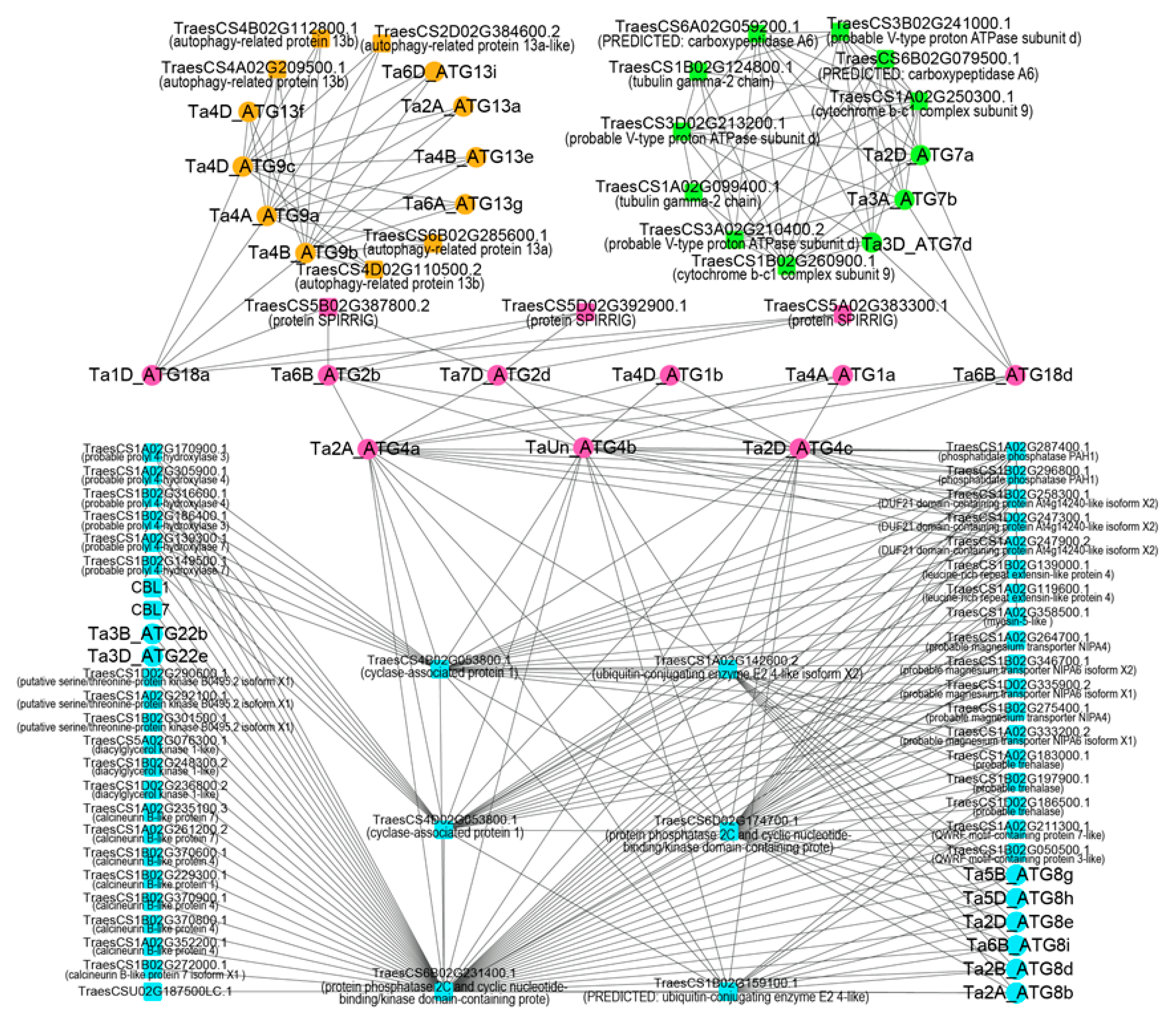 Ijms 23 00891 g003 550