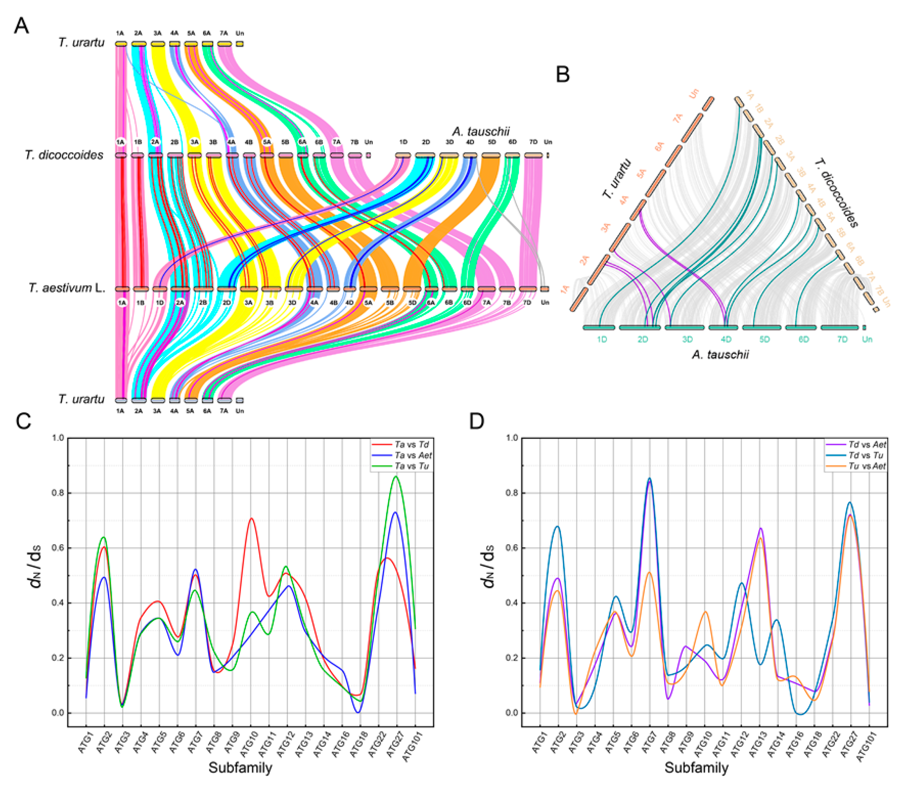 Ijms 23 00891 g004 550