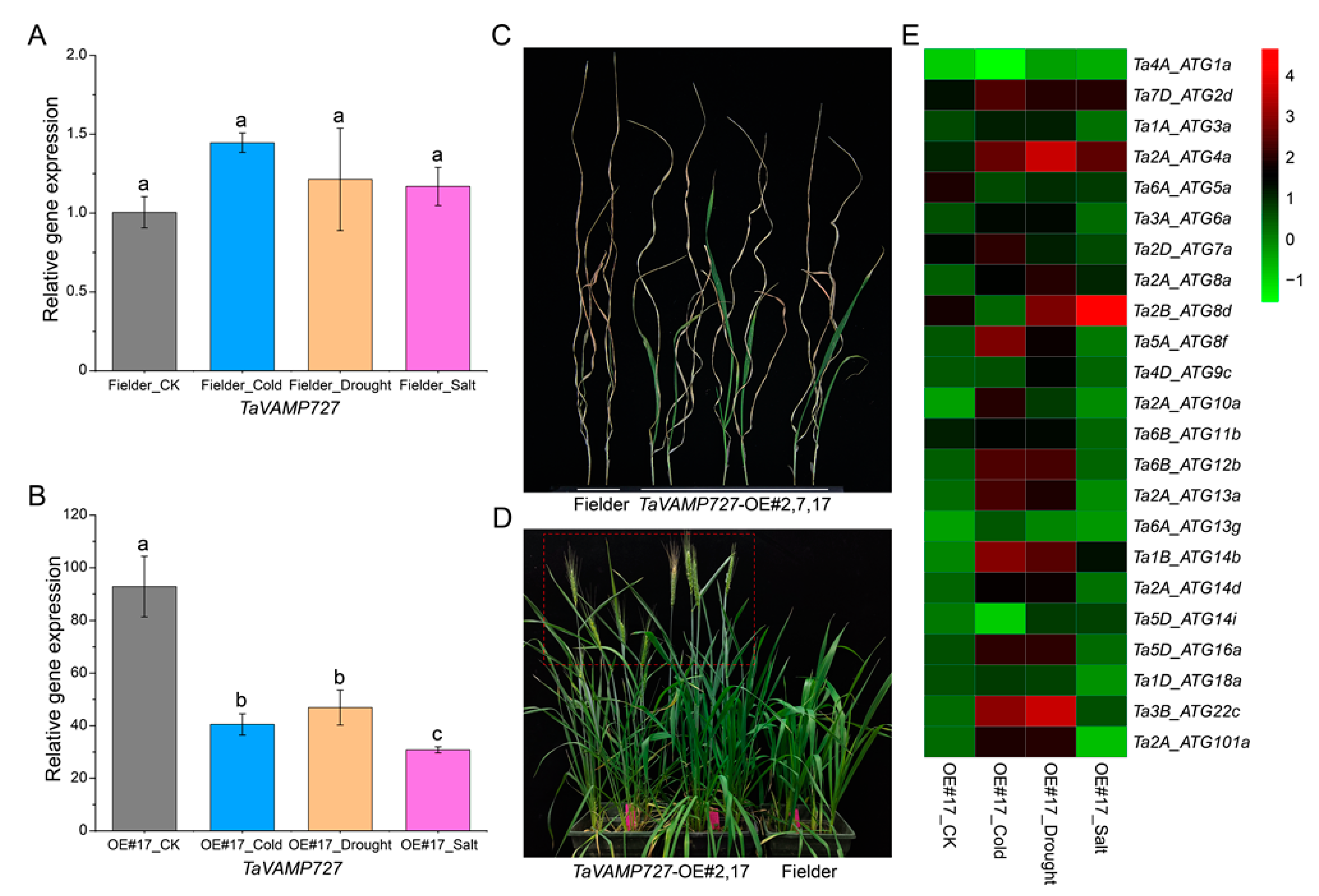 Ijms 23 00891 g008 550
