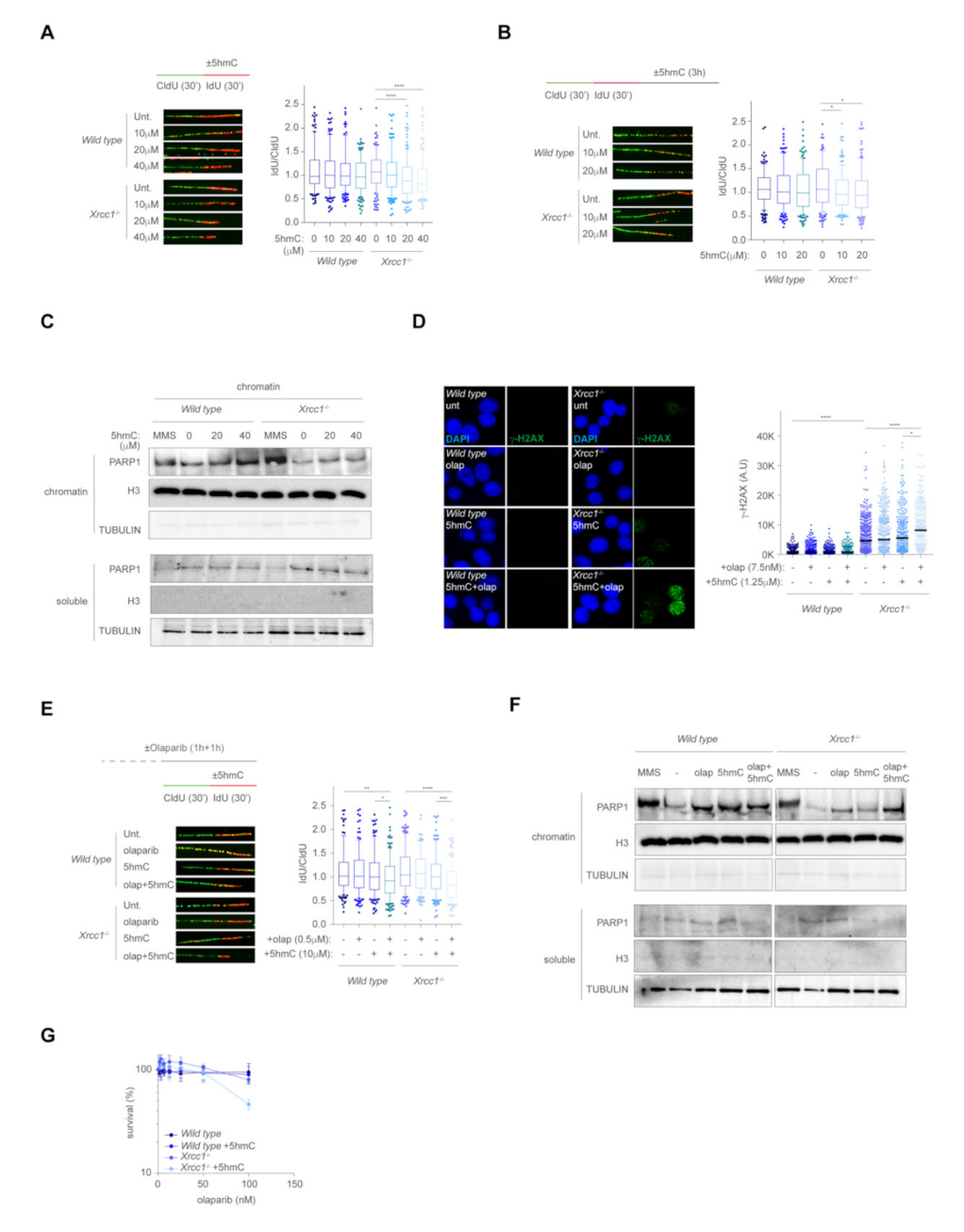 Ijms 23 00893 g003 550