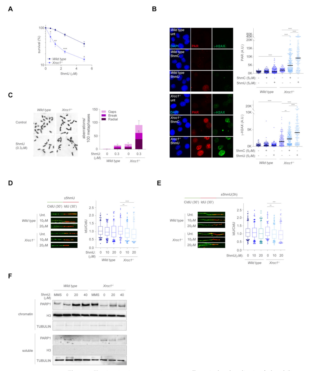 Ijms 23 00893 g004 550