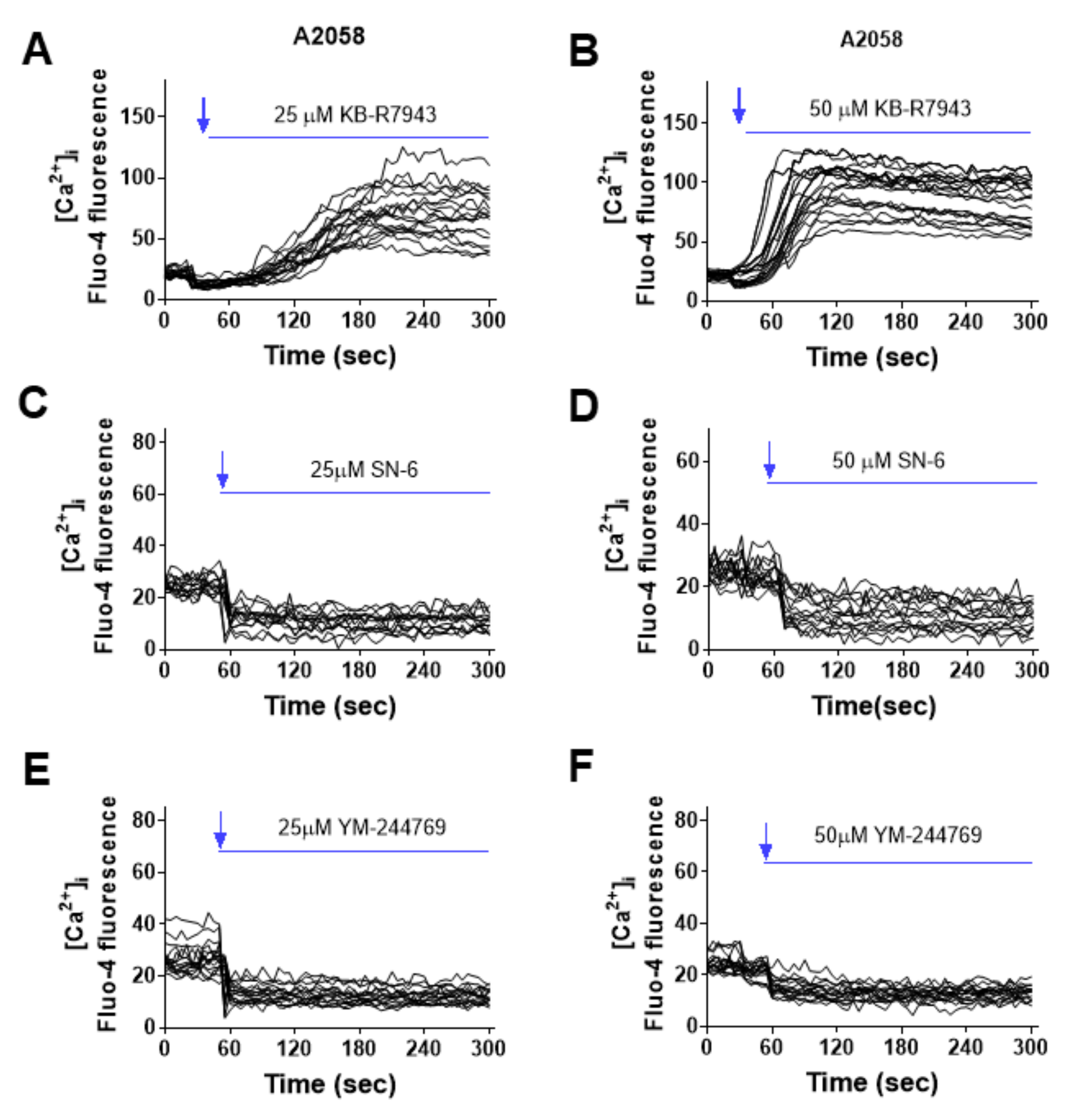 Ijms 23 00901 g003 550
