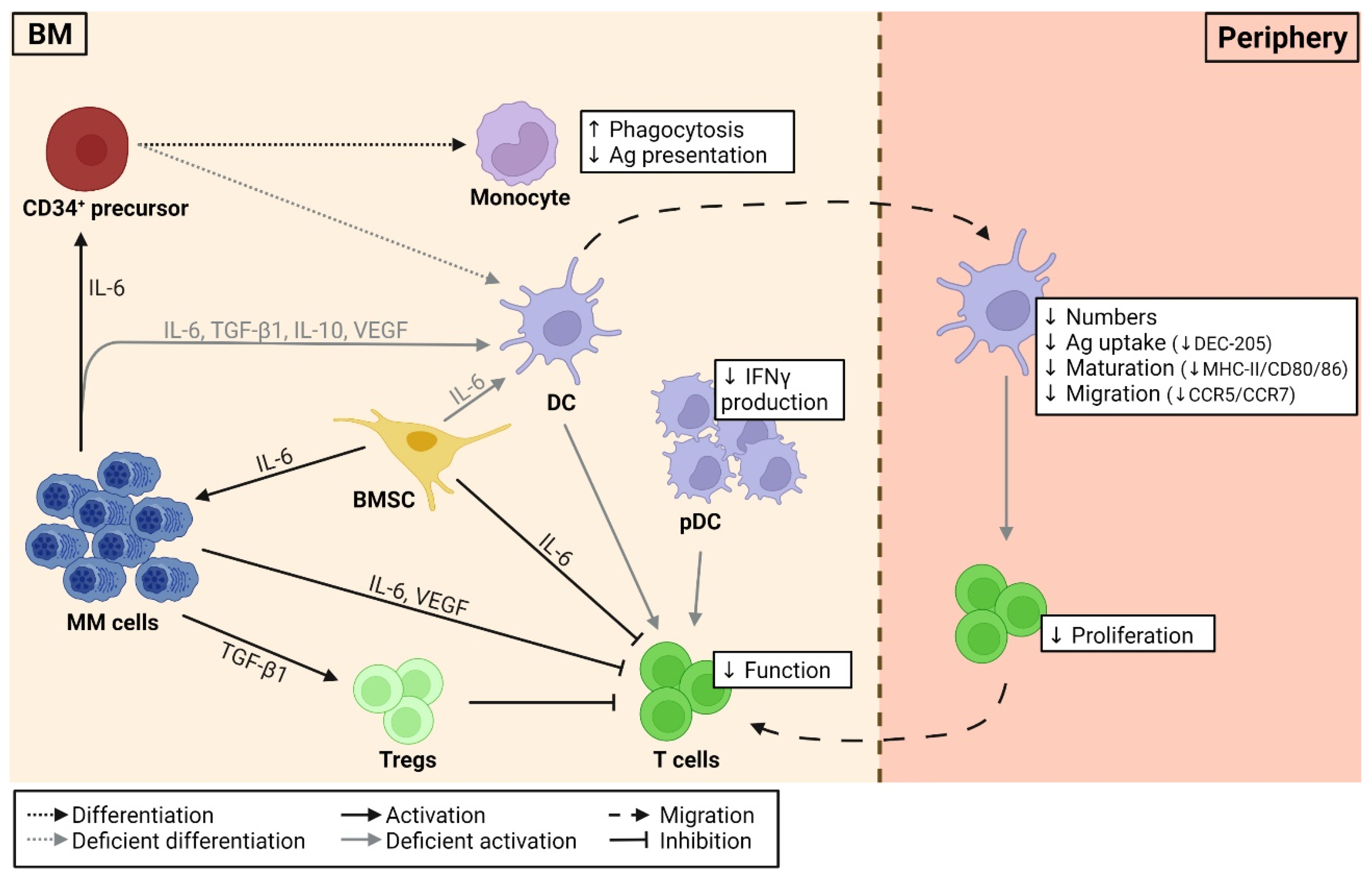 Ijms 23 00904 g002 Ijms 23 00904 g002