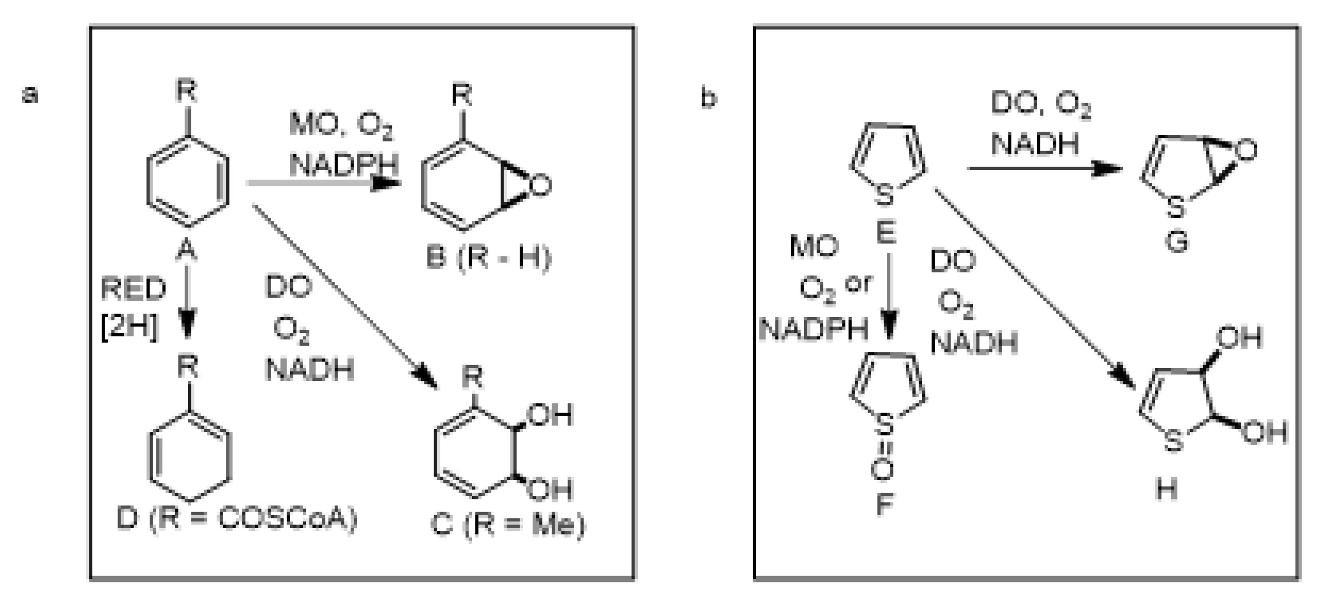Ijms 23 00909 sch001