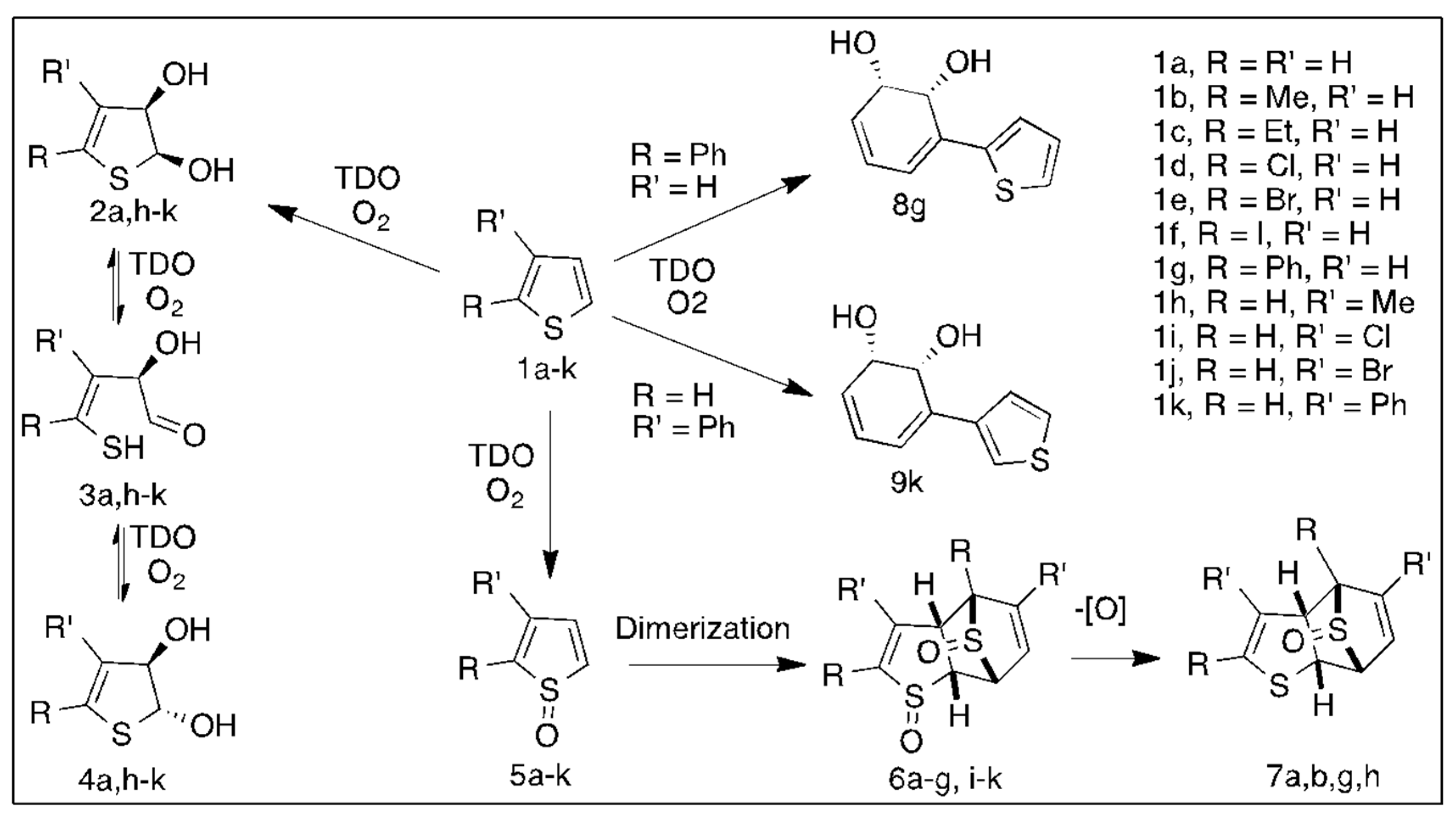 Ijms 23 00909 sch002