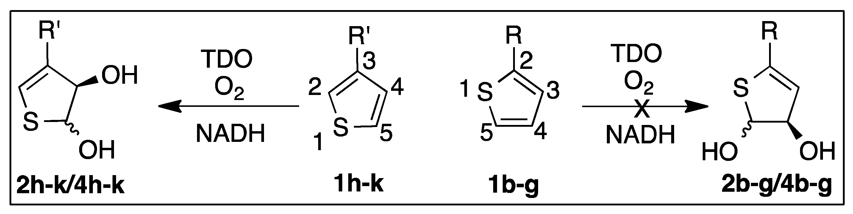 Ijms 23 00909 sch003