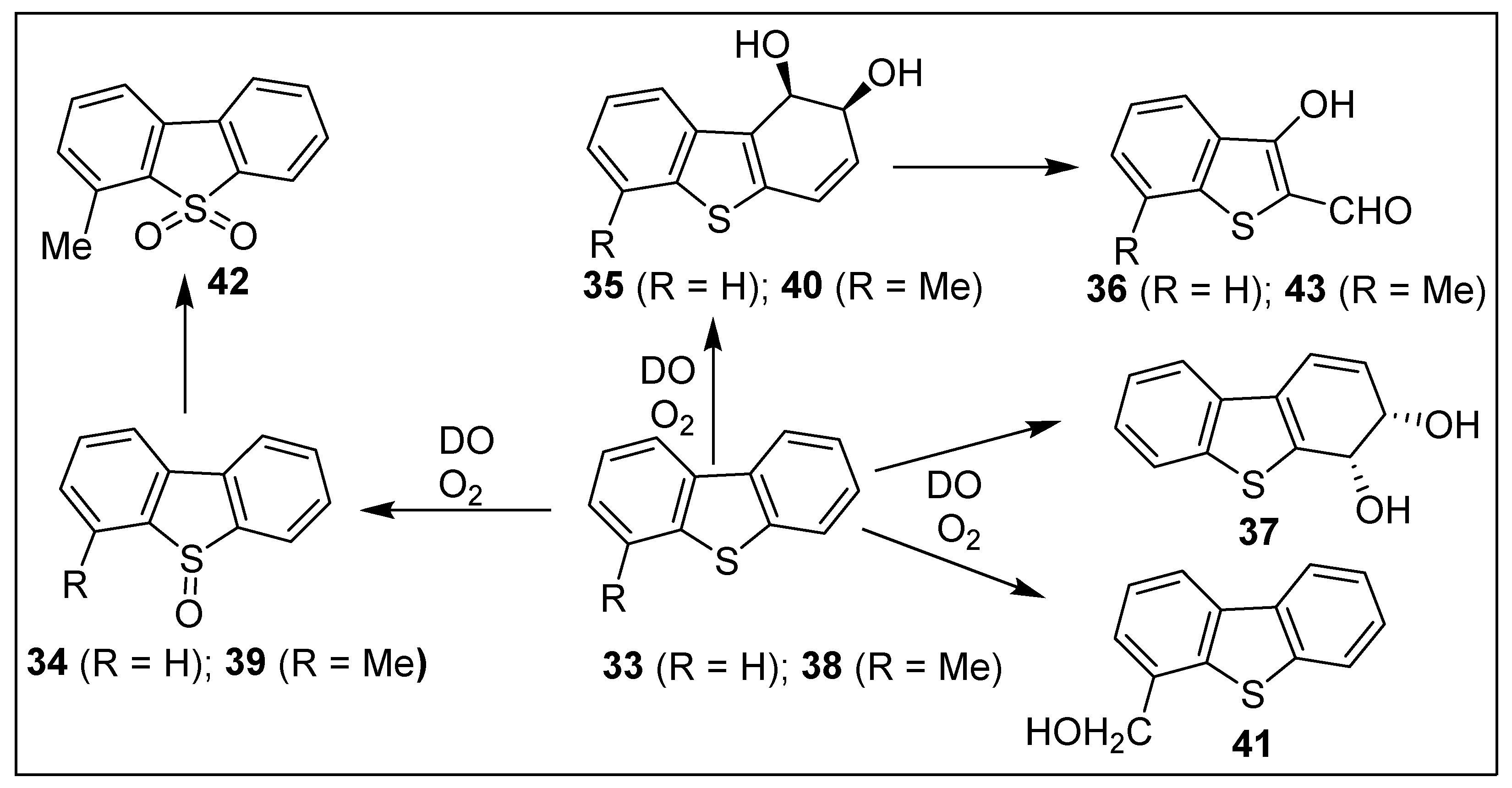 Ijms 23 00909 sch006