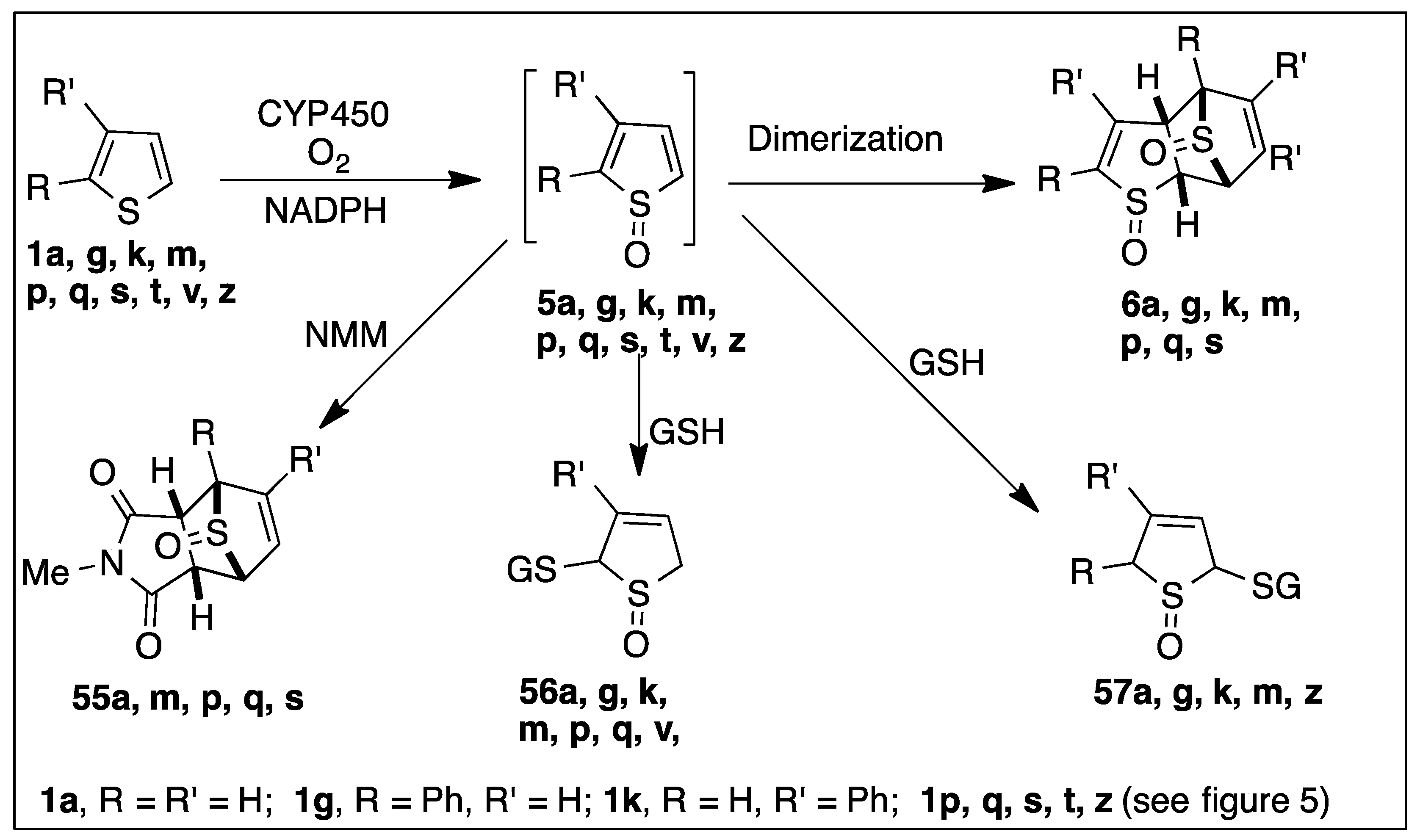 Ijms 23 00909 sch010