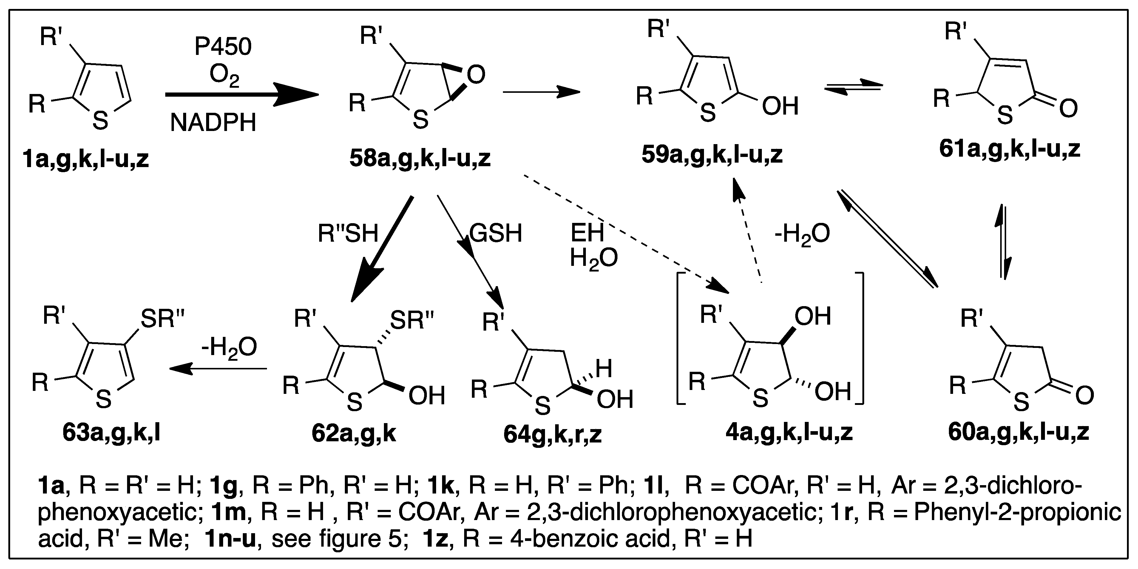 Ijms 23 00909 sch011