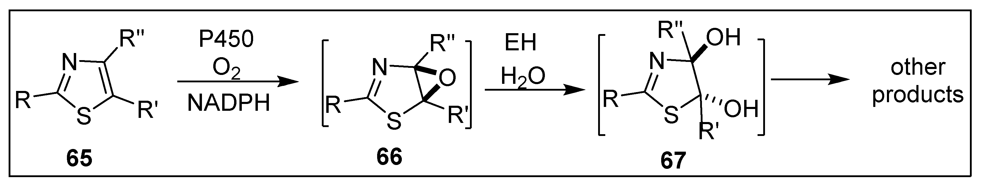 Ijms 23 00909 sch012