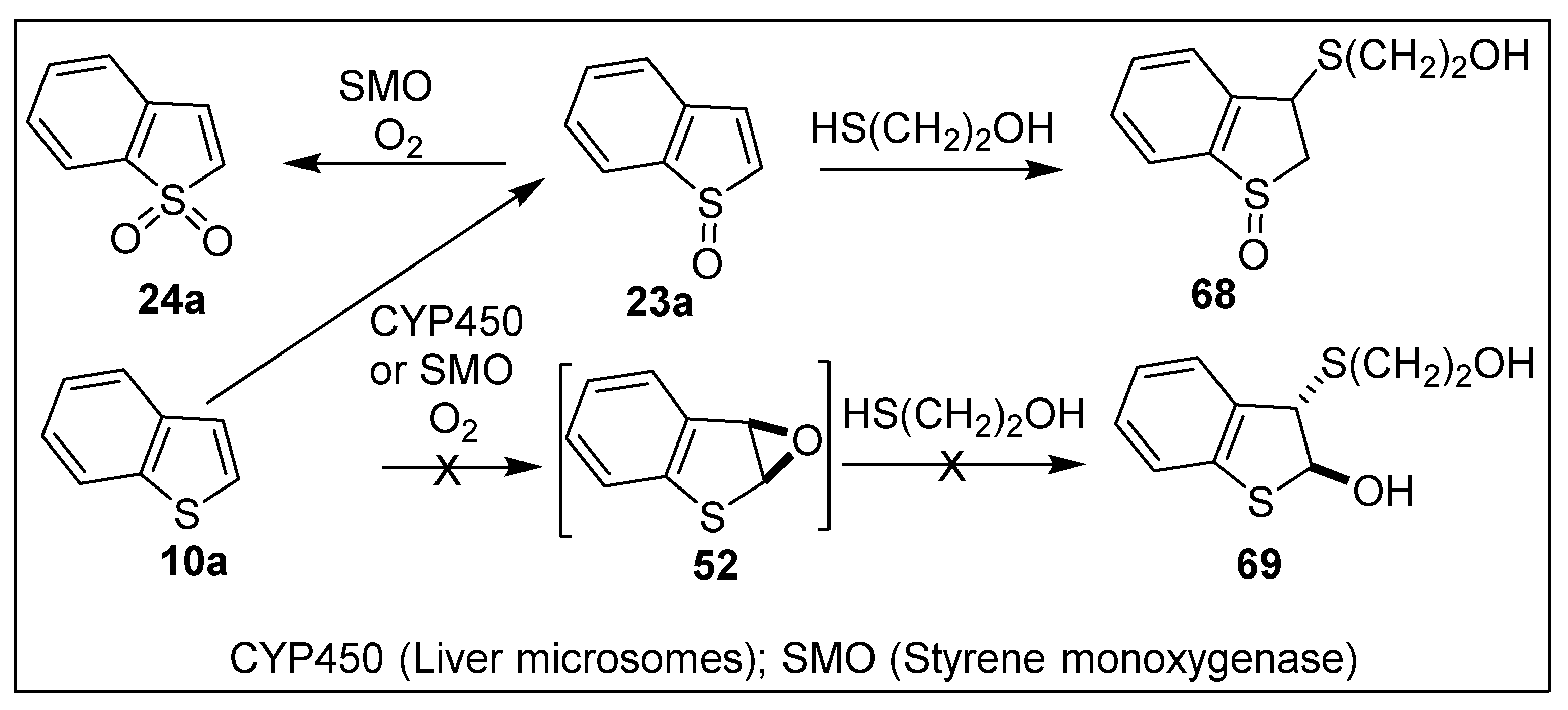 Ijms 23 00909 sch013