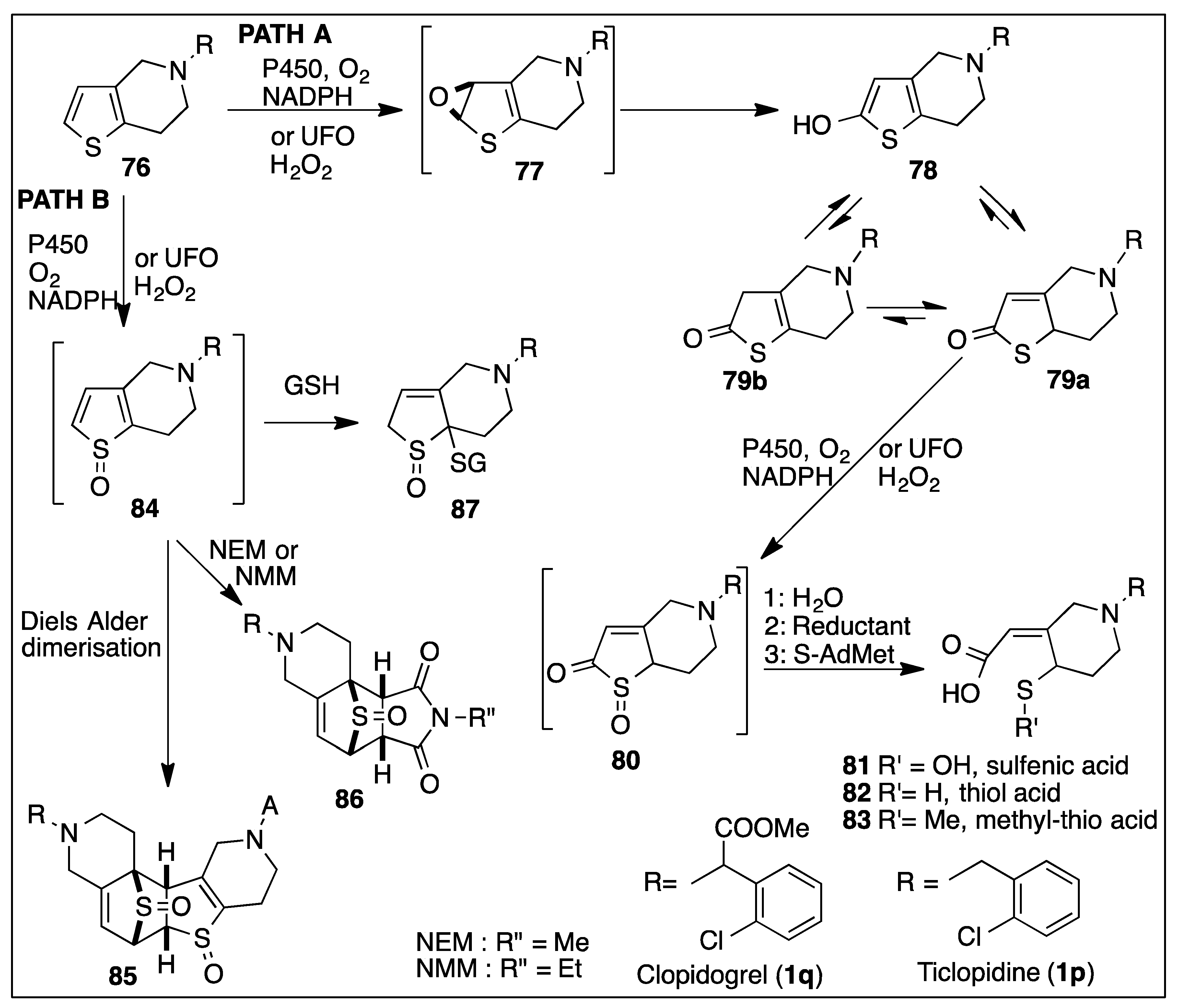 Ijms 23 00909 sch015