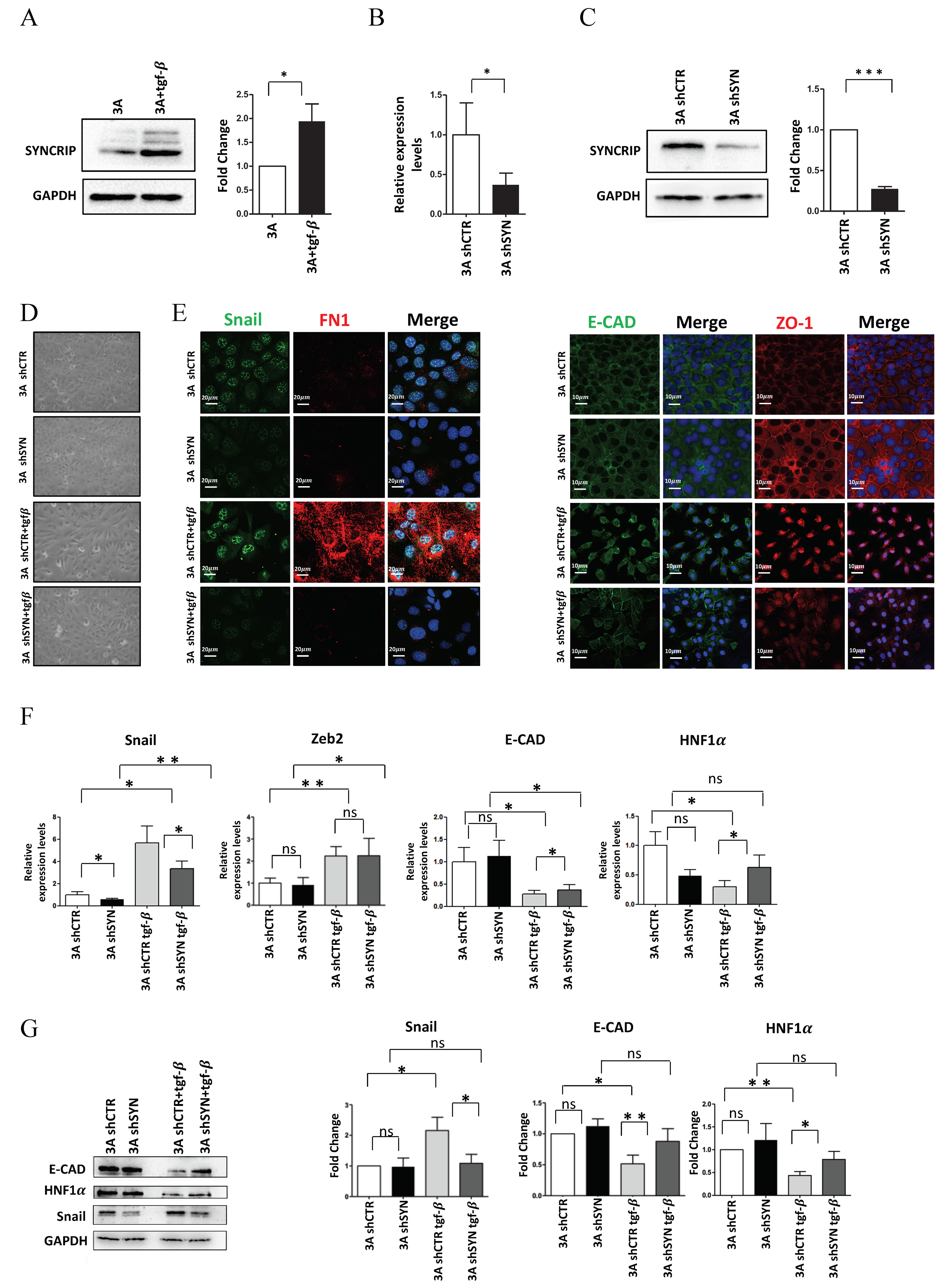 Ijms 23 00913 g001 Ijms 23 00913 g001