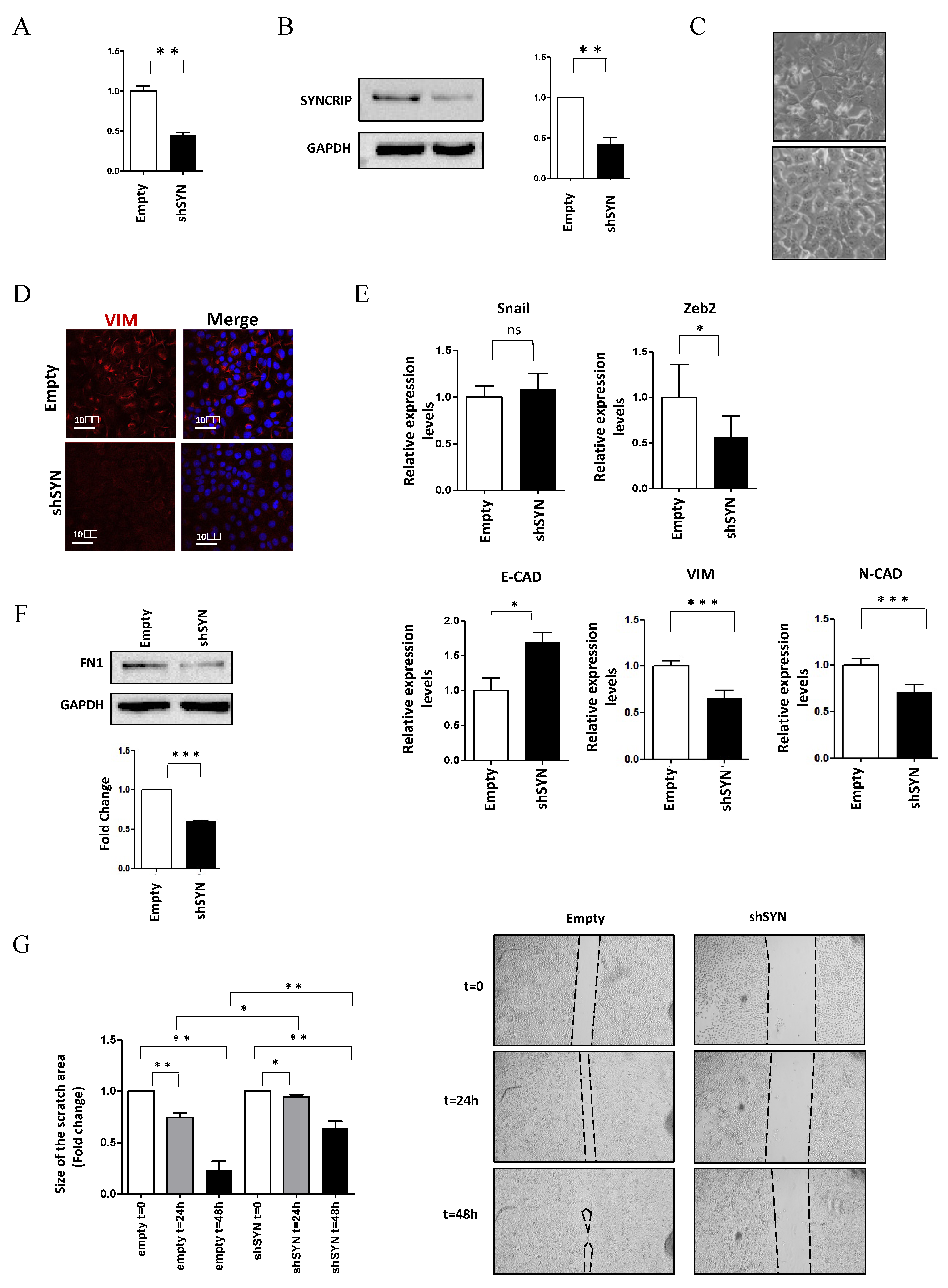 Ijms 23 00913 g002 Ijms 23 00913 g002