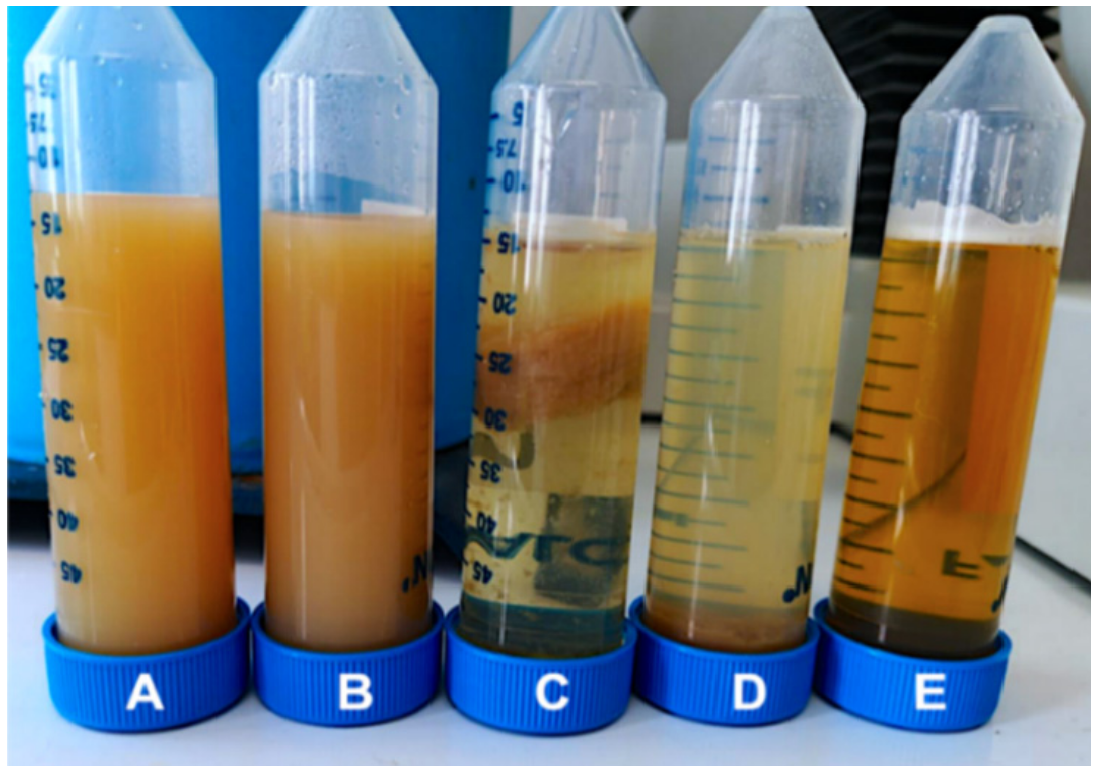 Ijms 23 00915 g001 Ijms 23 00915 g001