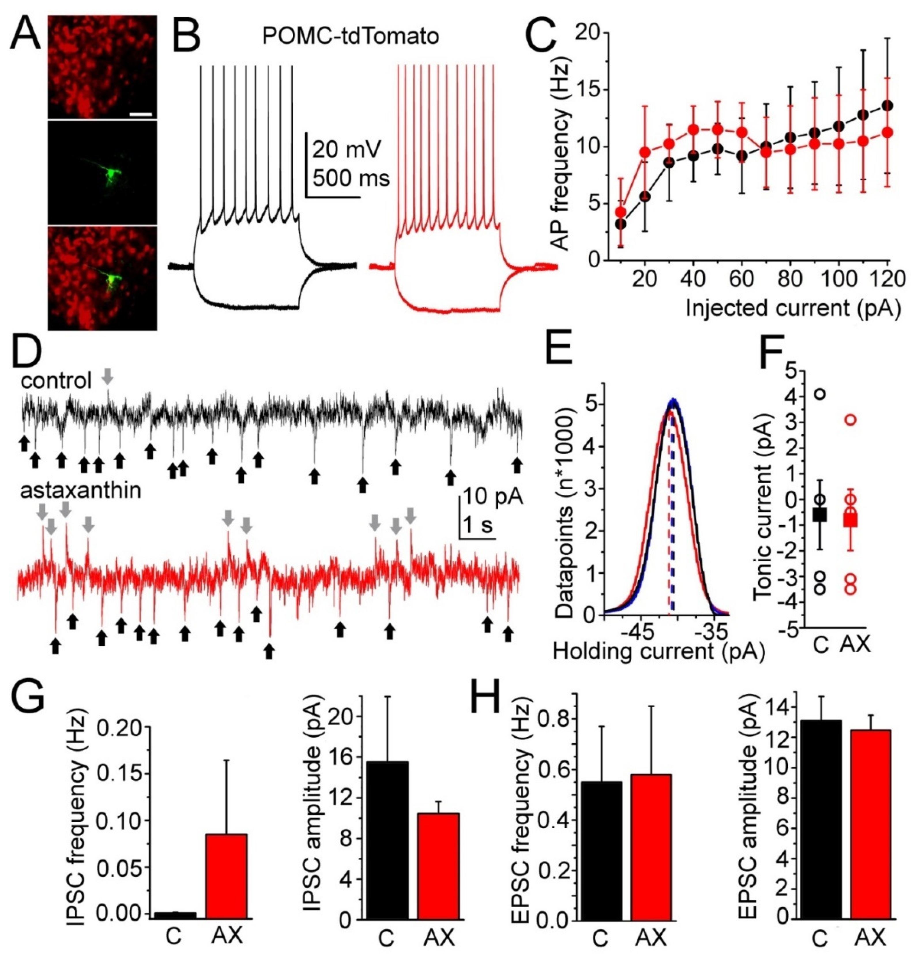 Ijms 23 00917 g004 Ijms 23 00917 g004